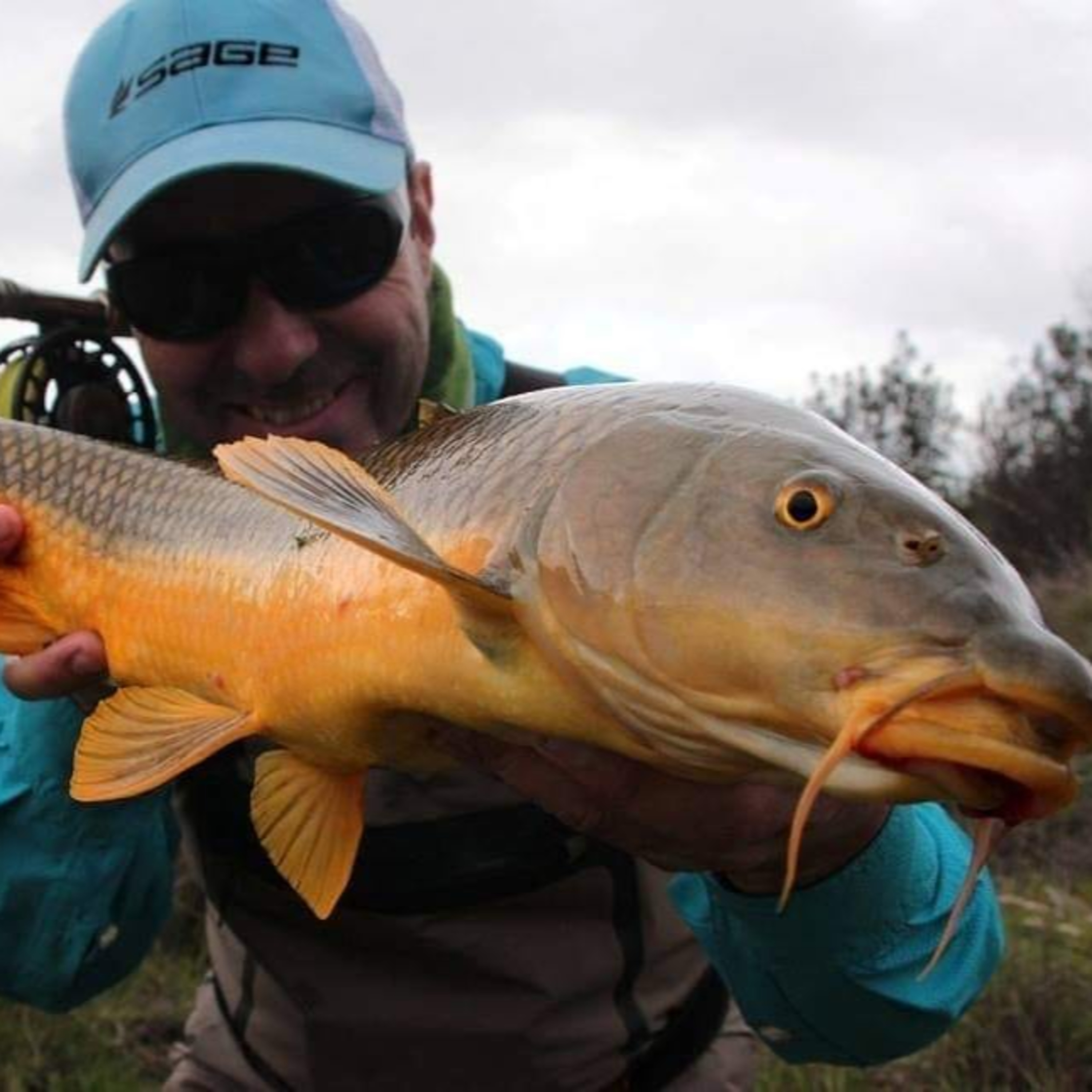 Rio de la Vida Pesca