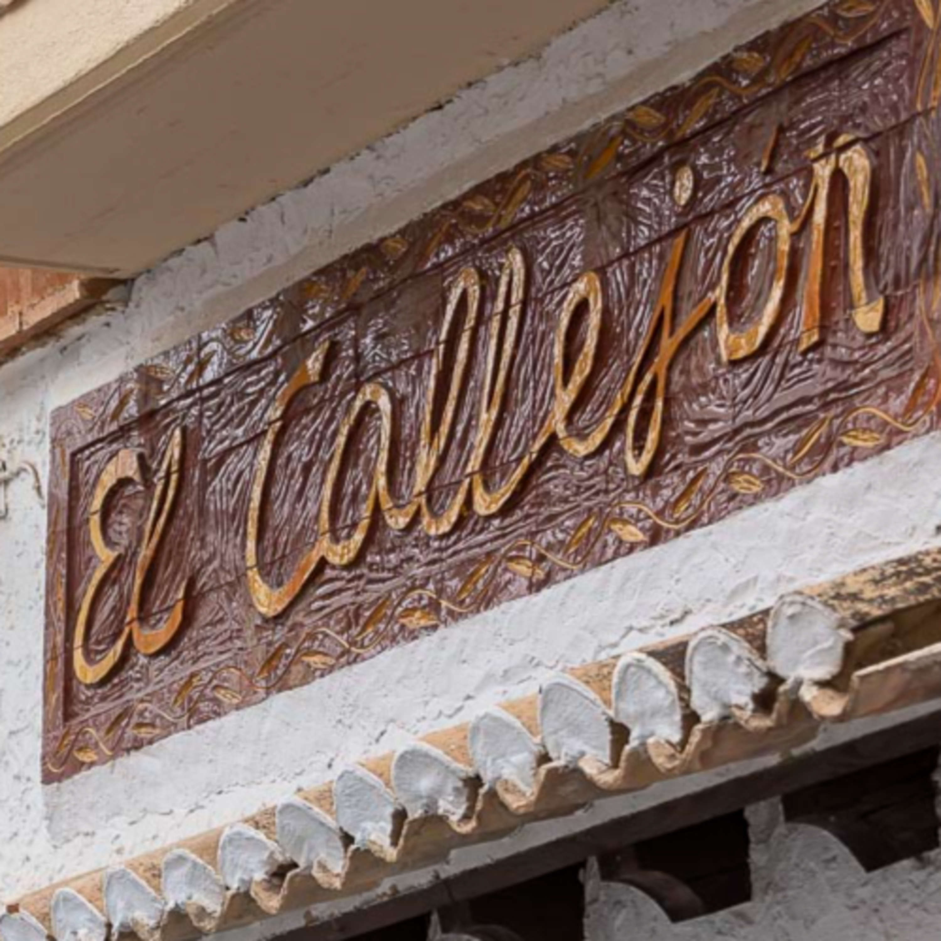 RÍO DE LA VIDA – El Podcast de Pesca en Radio · Agua Dulce y Mar · Carpfishing, Mosca y Spinning