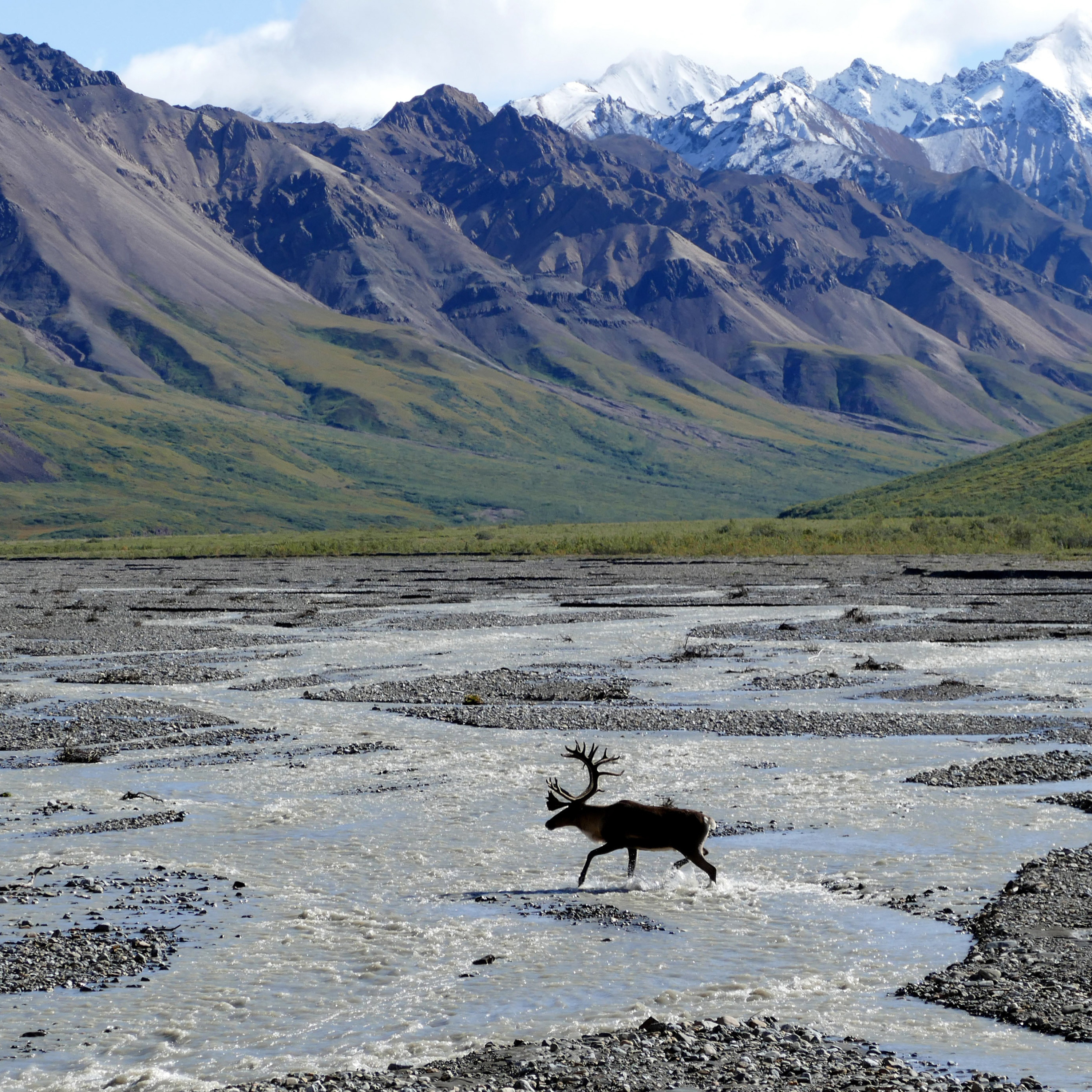 Alaska Outdoors Magazine: By Alaskans, For Alaskans, Or For Anyone Who Ever Dreampt About Alaska