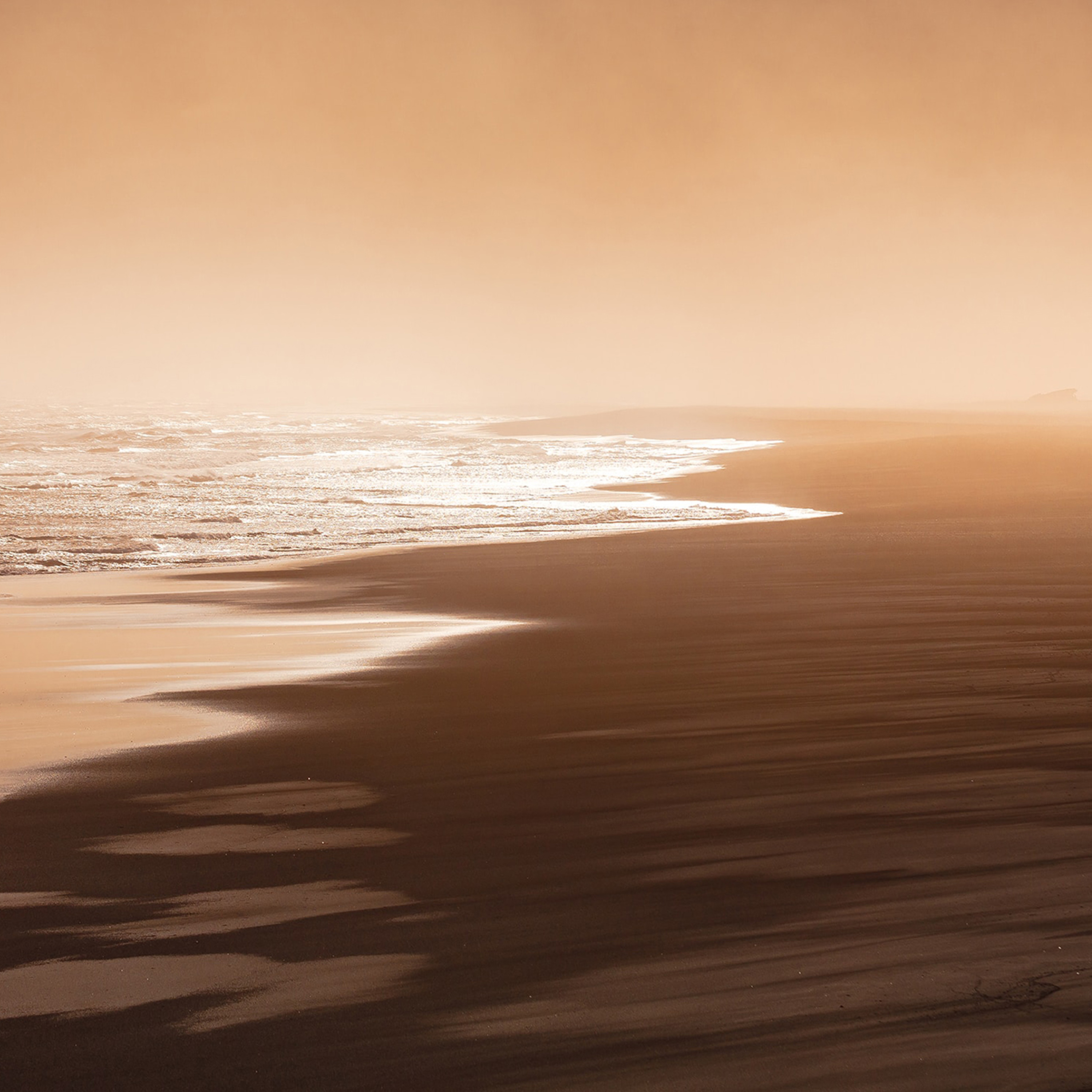 Turnagain Tide Tragedy