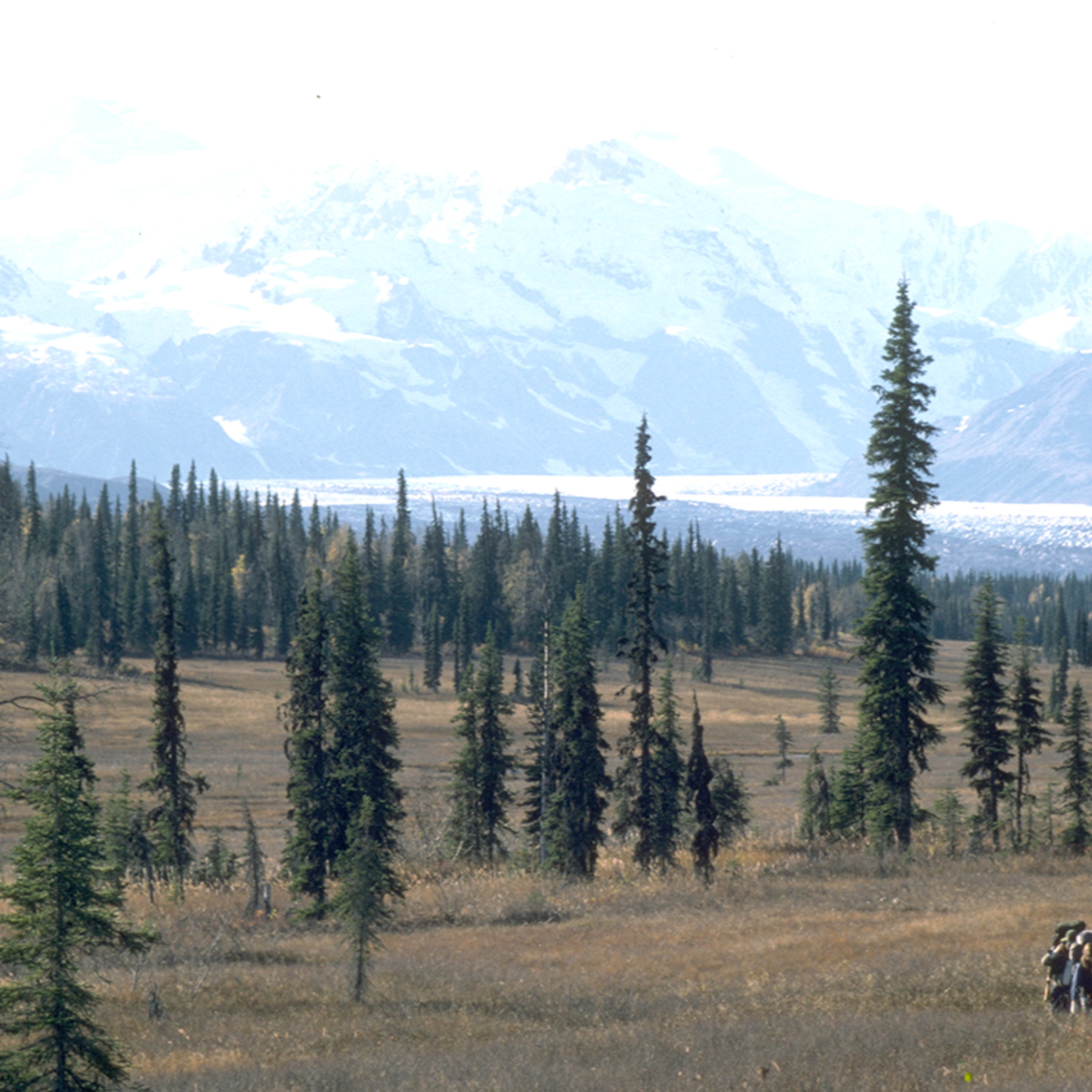 Alaska Outdoors Magazine: By Alaskans, For Alaskans, Or For Anyone Who Ever Dreampt About Alaska