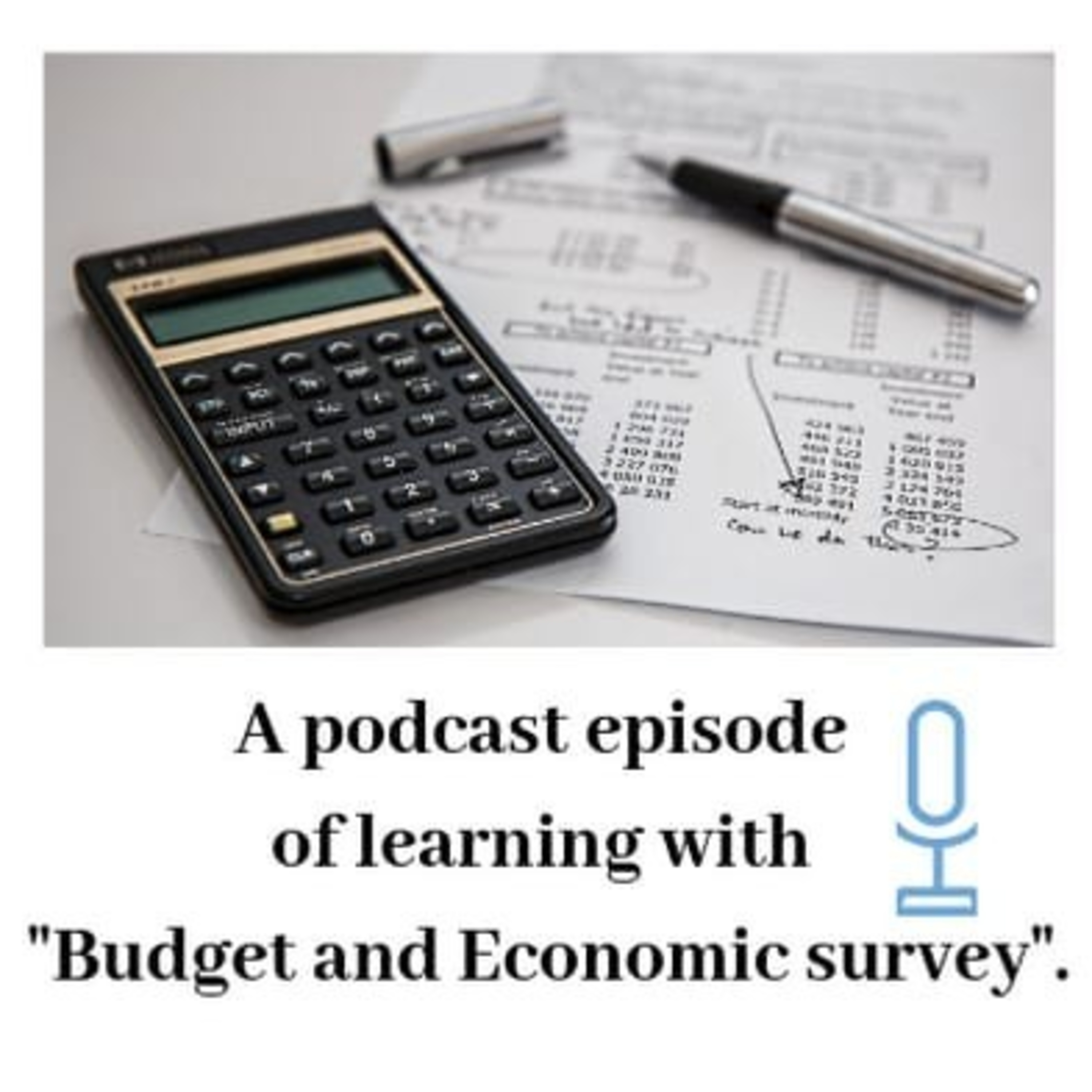 Learning new words from "Budget and Economic Survey".