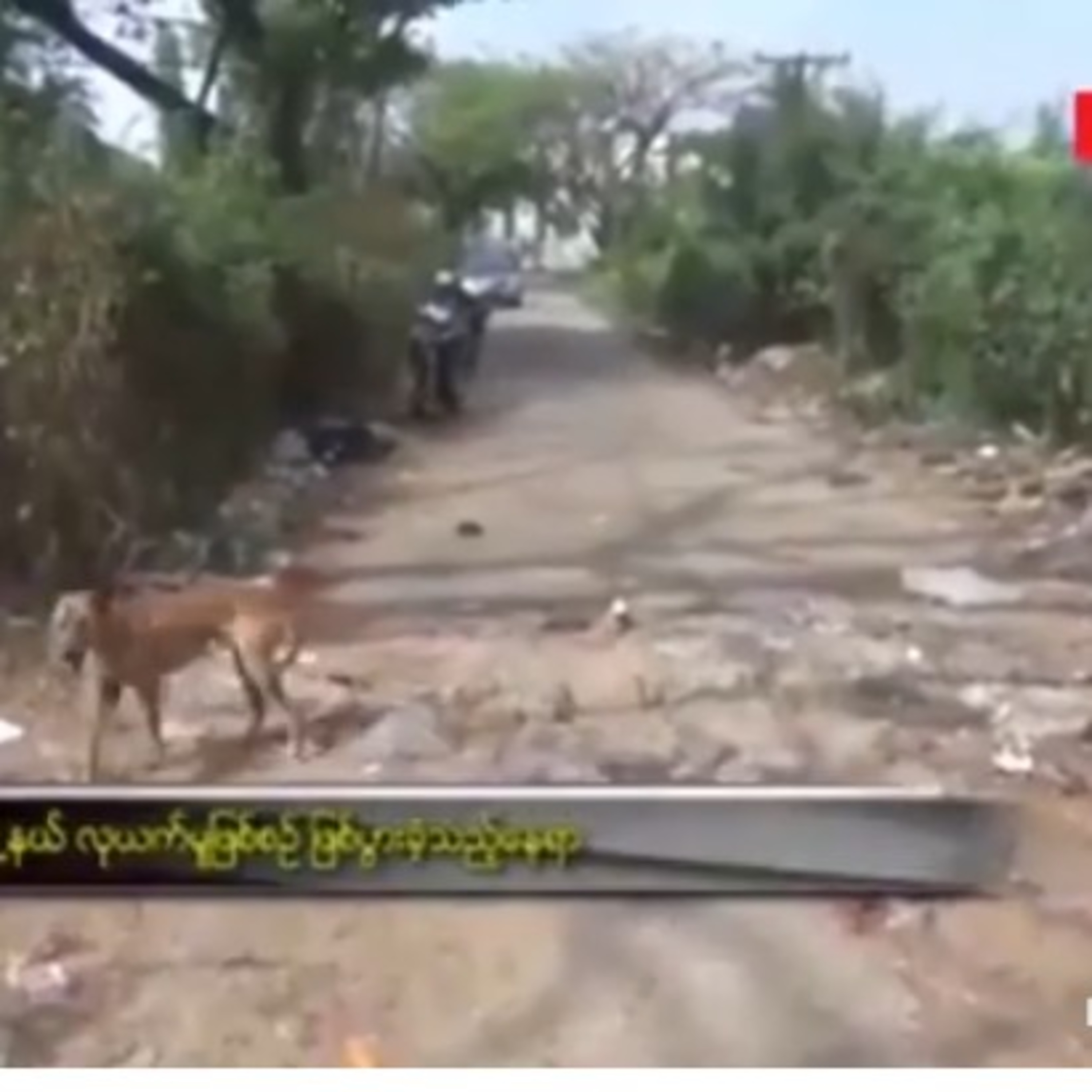 ေအာက္တိုဘာ ၂ ရက္နံနက္ခင္းသတင္းအစီအစဥ္အောက်တိုဘာ ၂ ရက်နံနက်ခင်းသတင်းအစီအစဉ် episode artwork