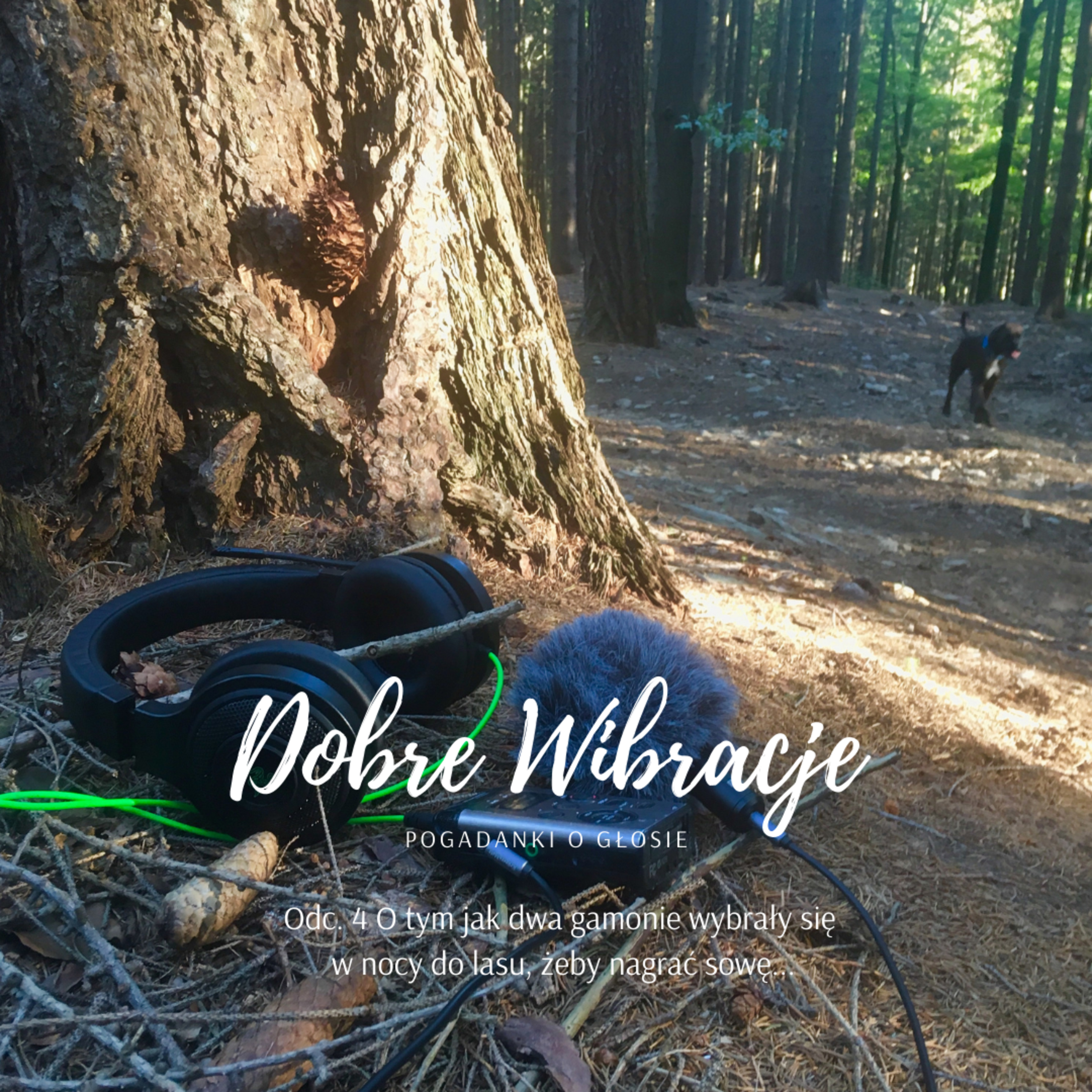 Dobre Wibracje