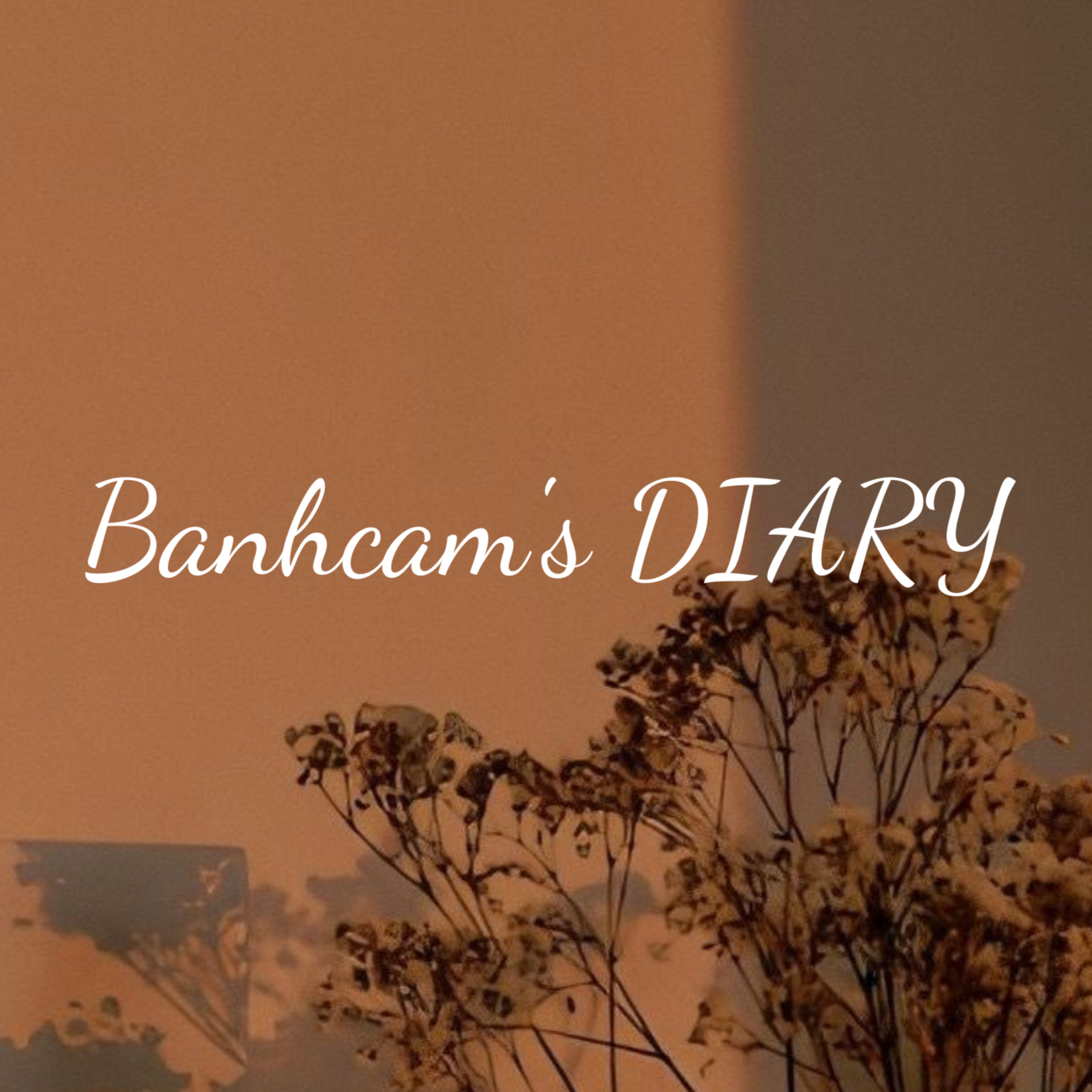 BÁNH CAM & stories