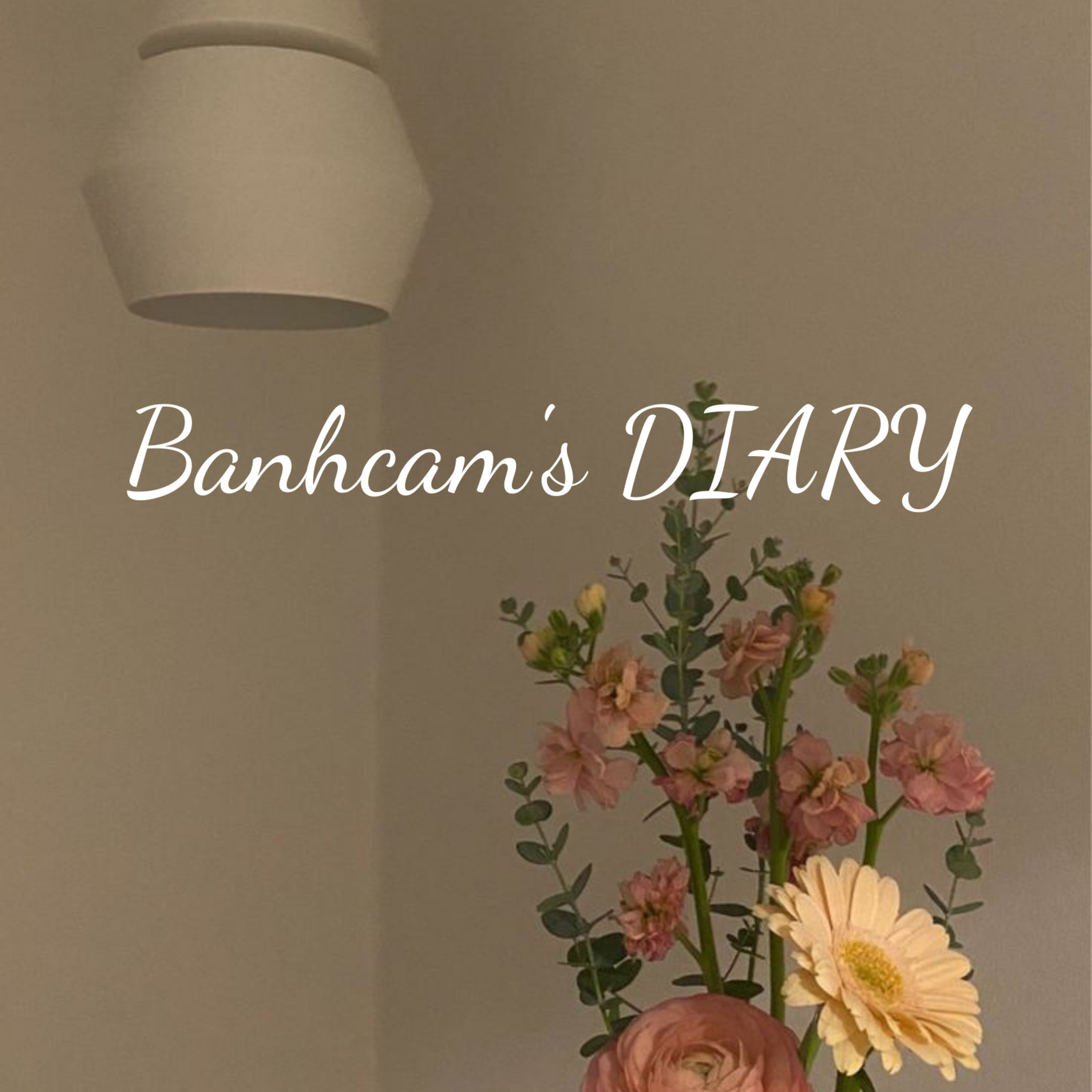 BÁNH CAM & stories