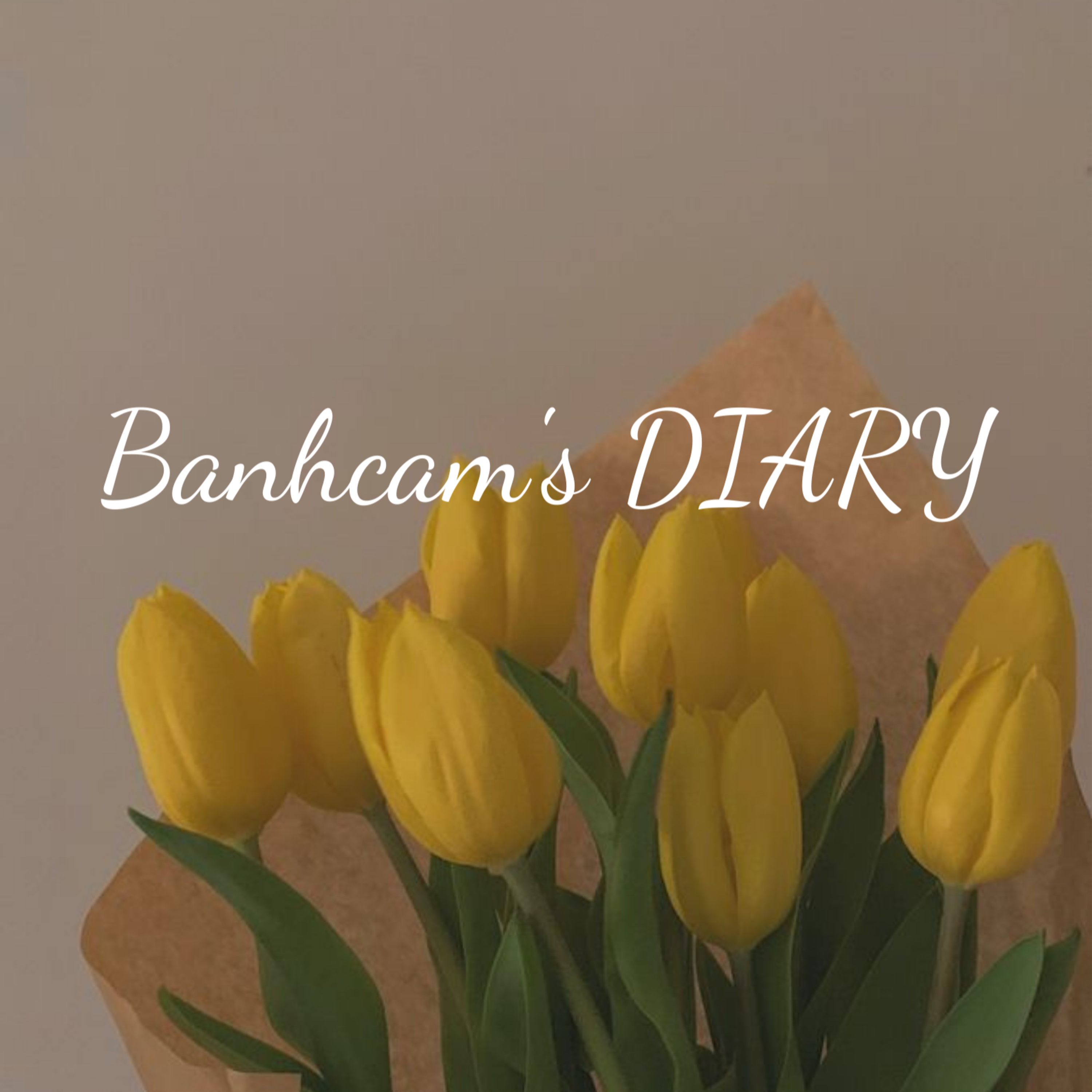 BÁNH CAM & stories