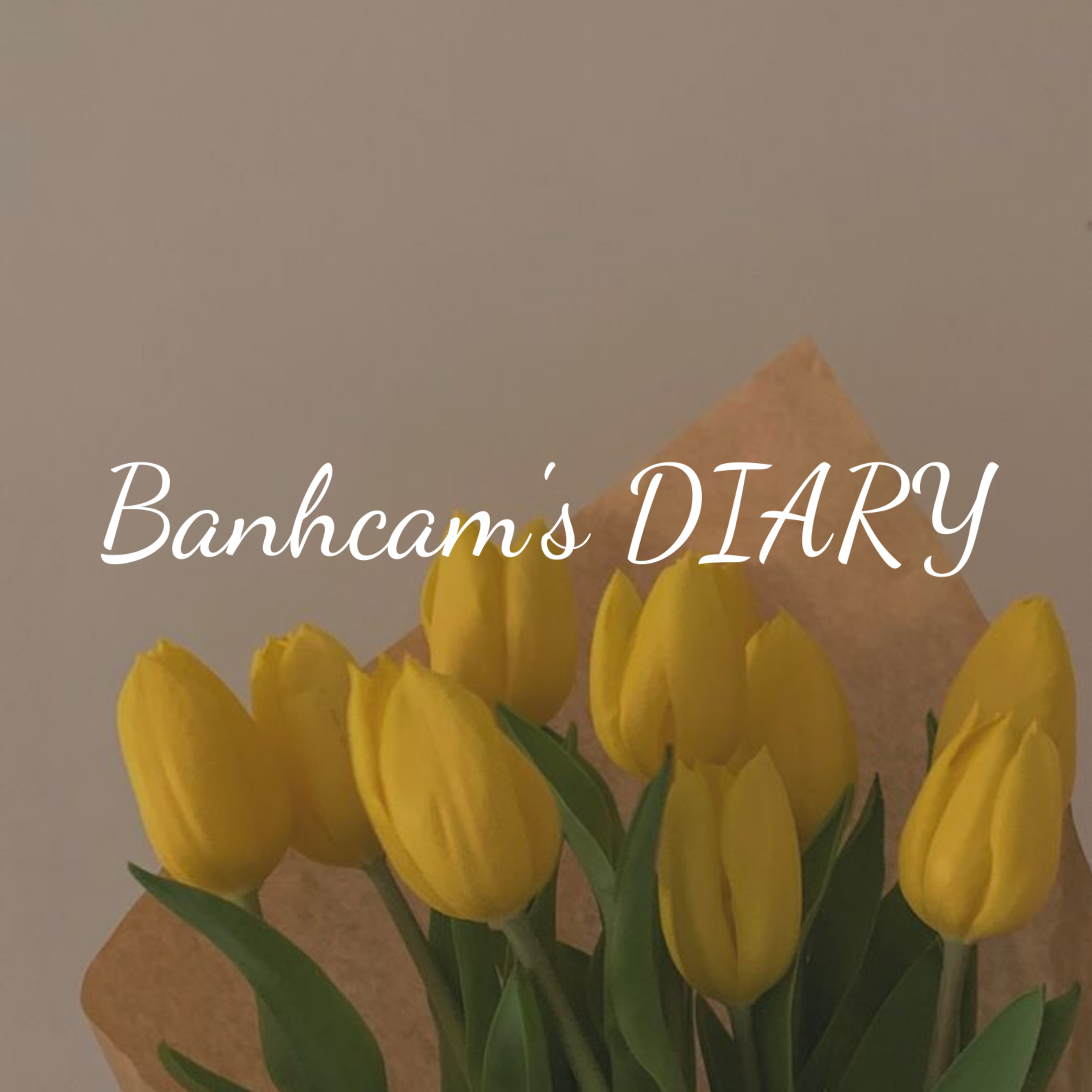 BÁNH CAM & stories