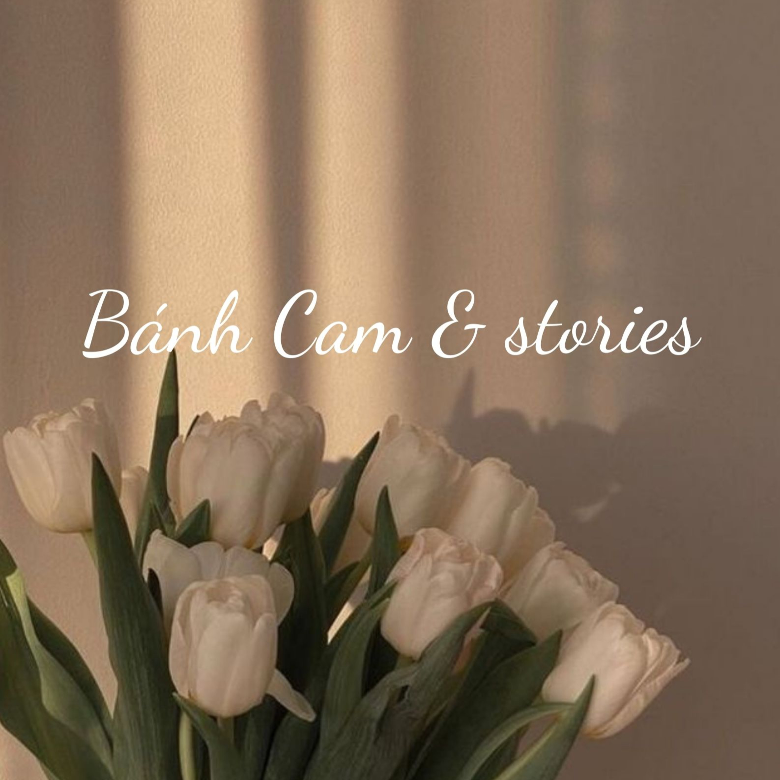 BÁNH CAM & stories
