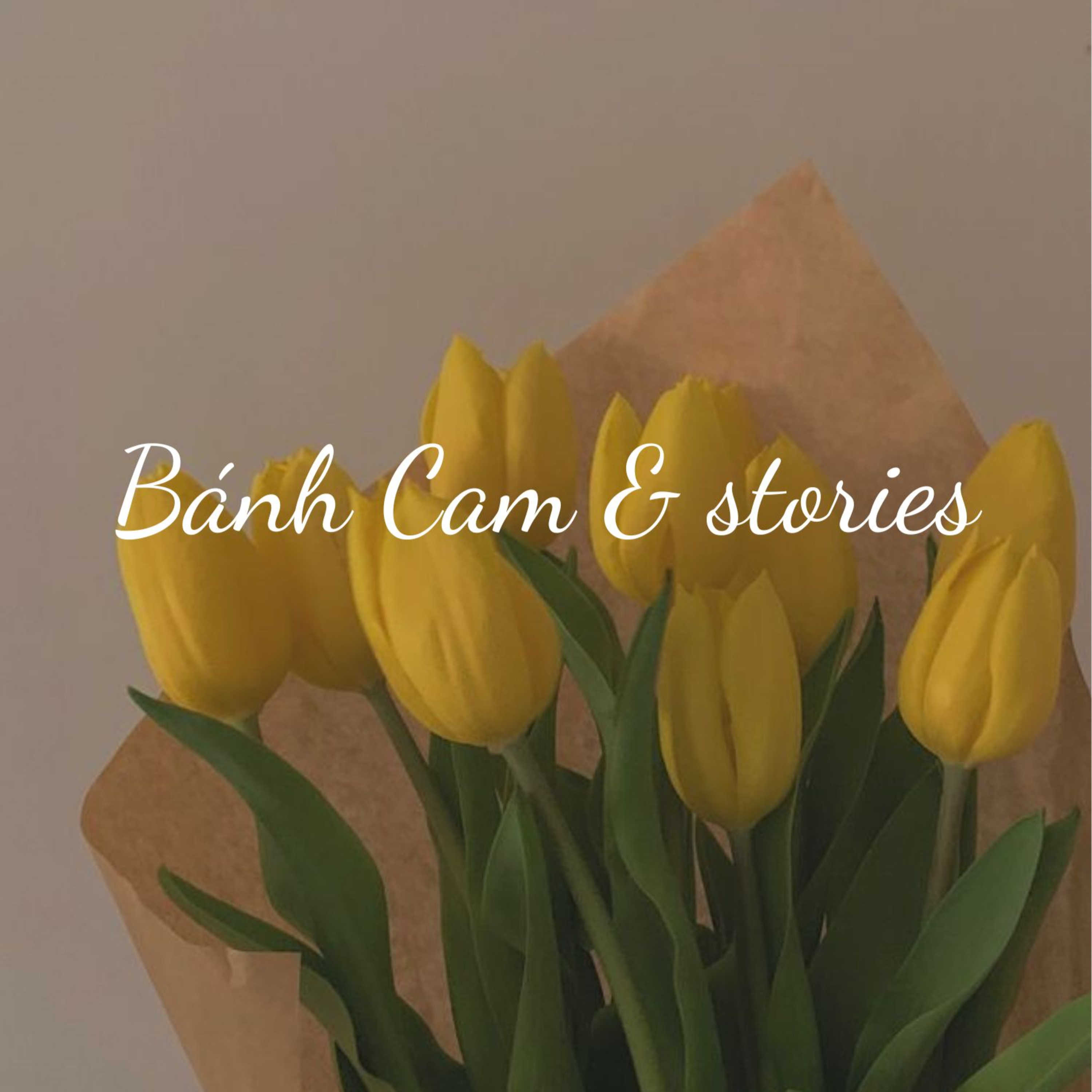 BÁNH CAM & stories