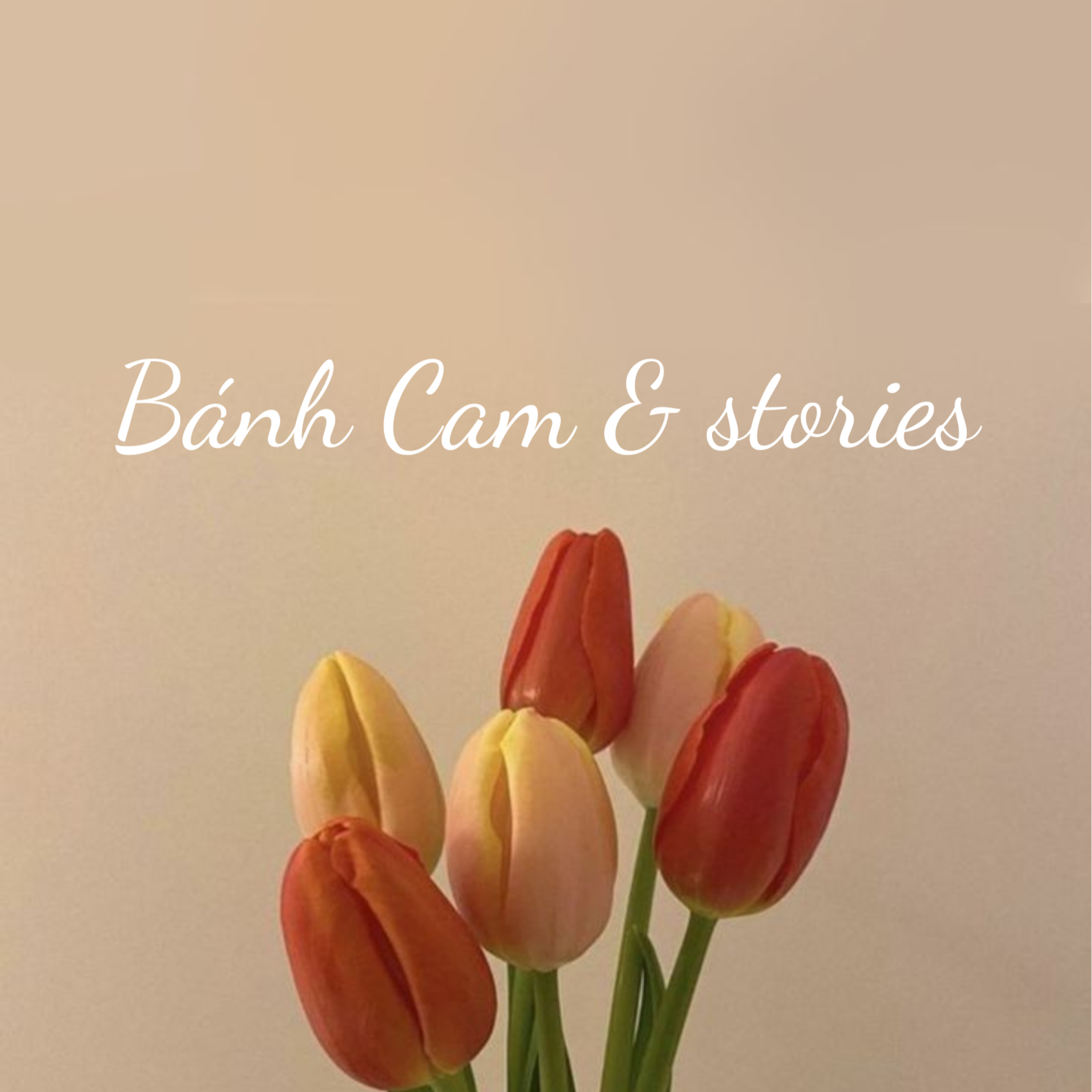 BÁNH CAM & stories