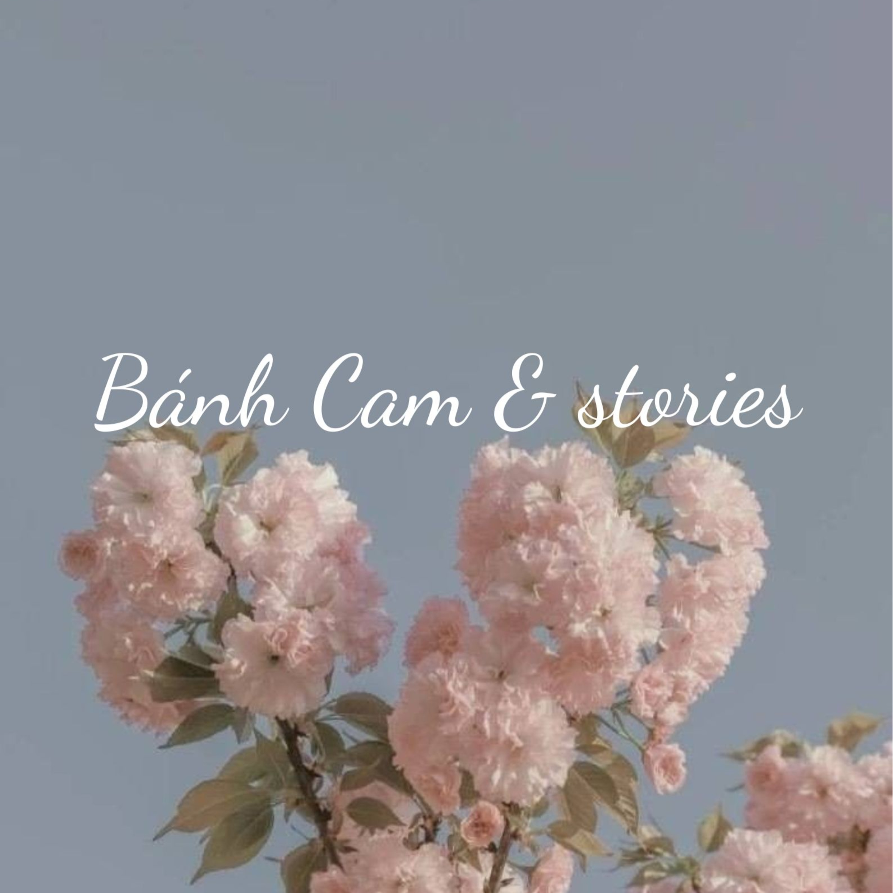 BÁNH CAM & stories