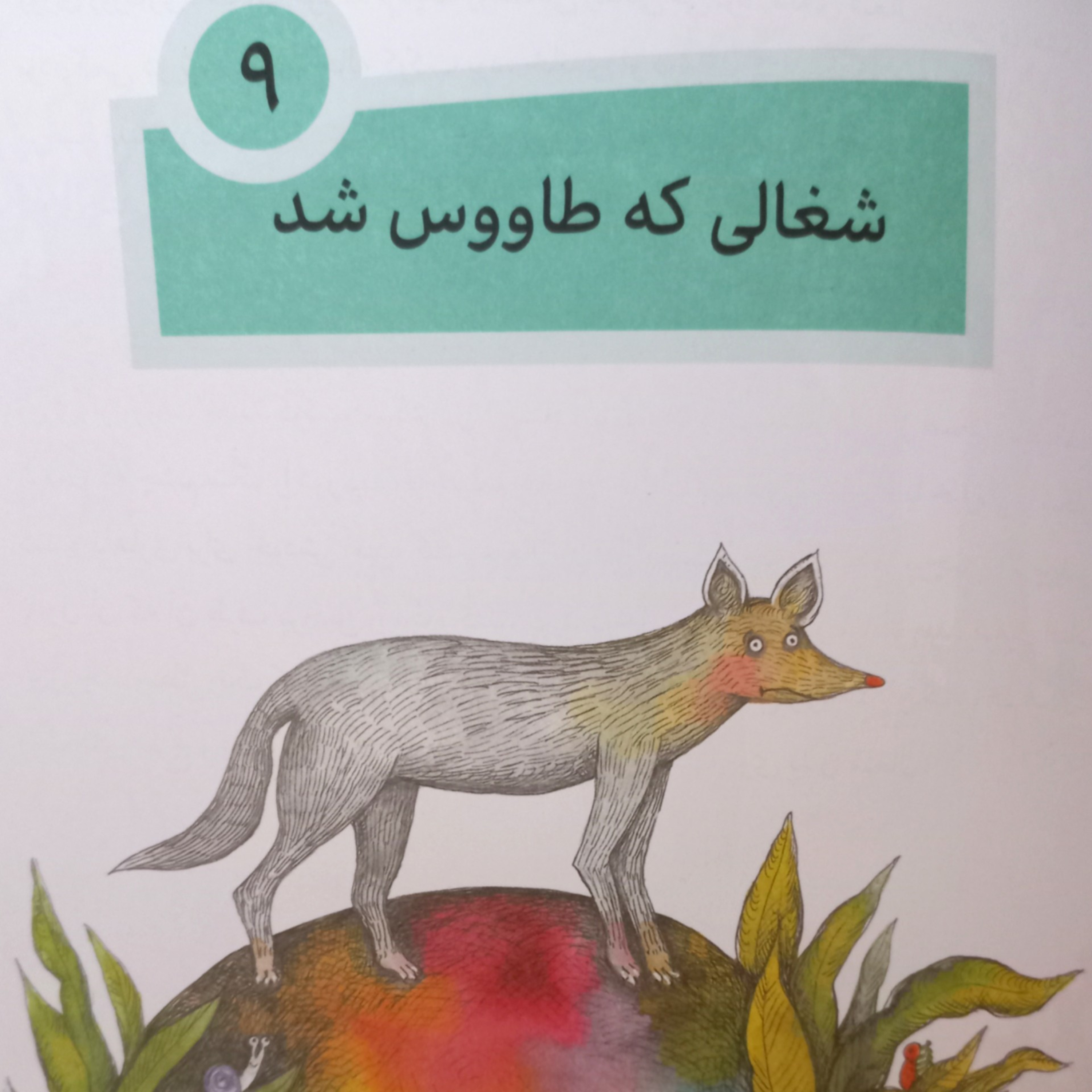 کاور شغالی که طاووس شد
