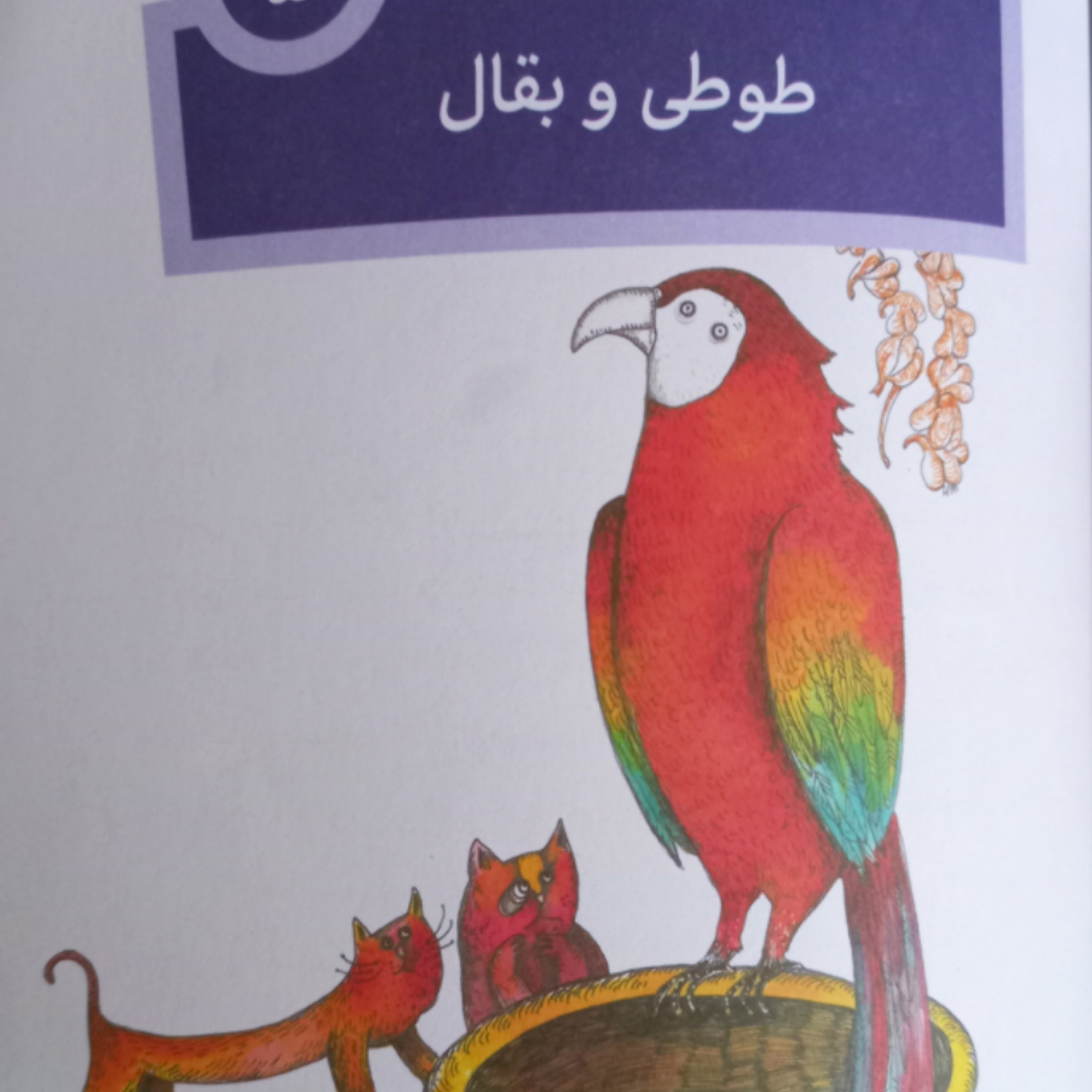 کاور طوطی و بقال