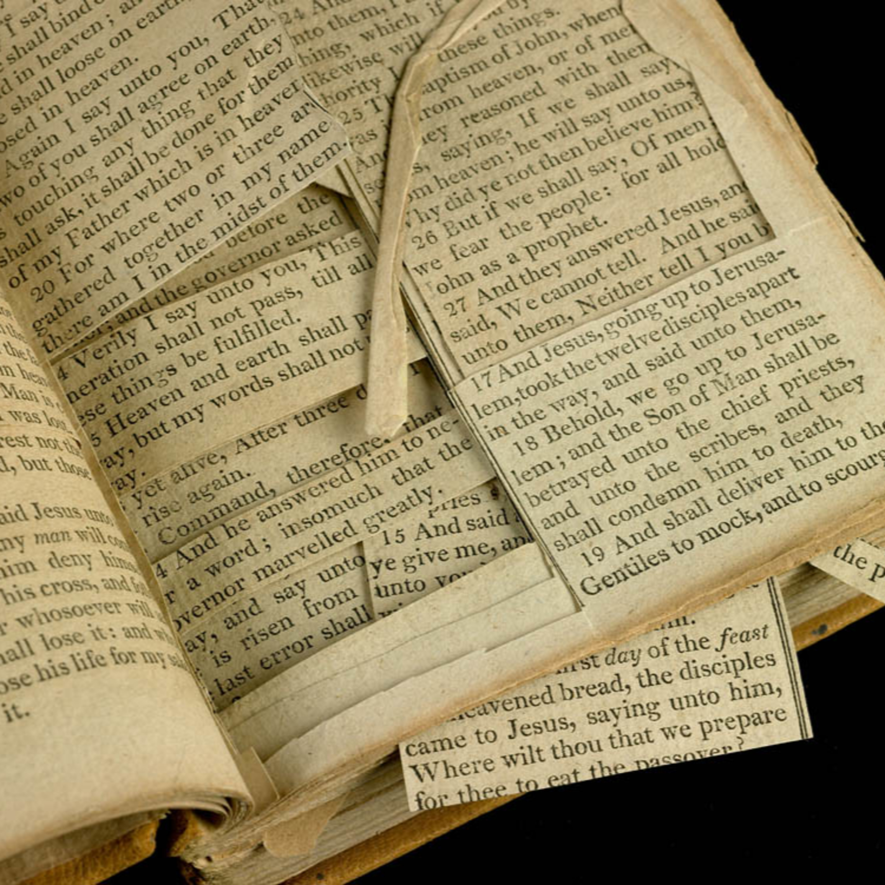 Crucible of Thought