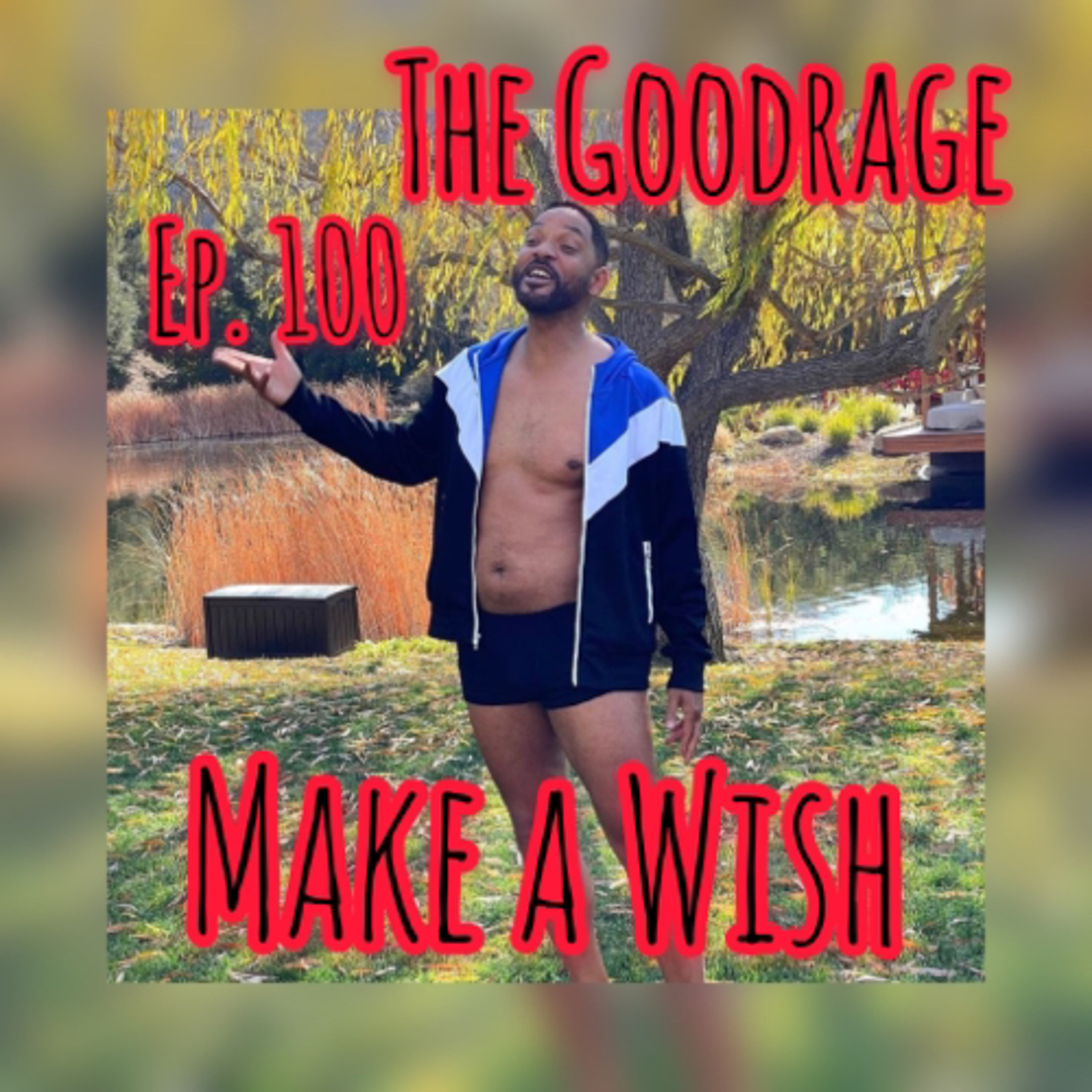 Make a Wish episode artwork