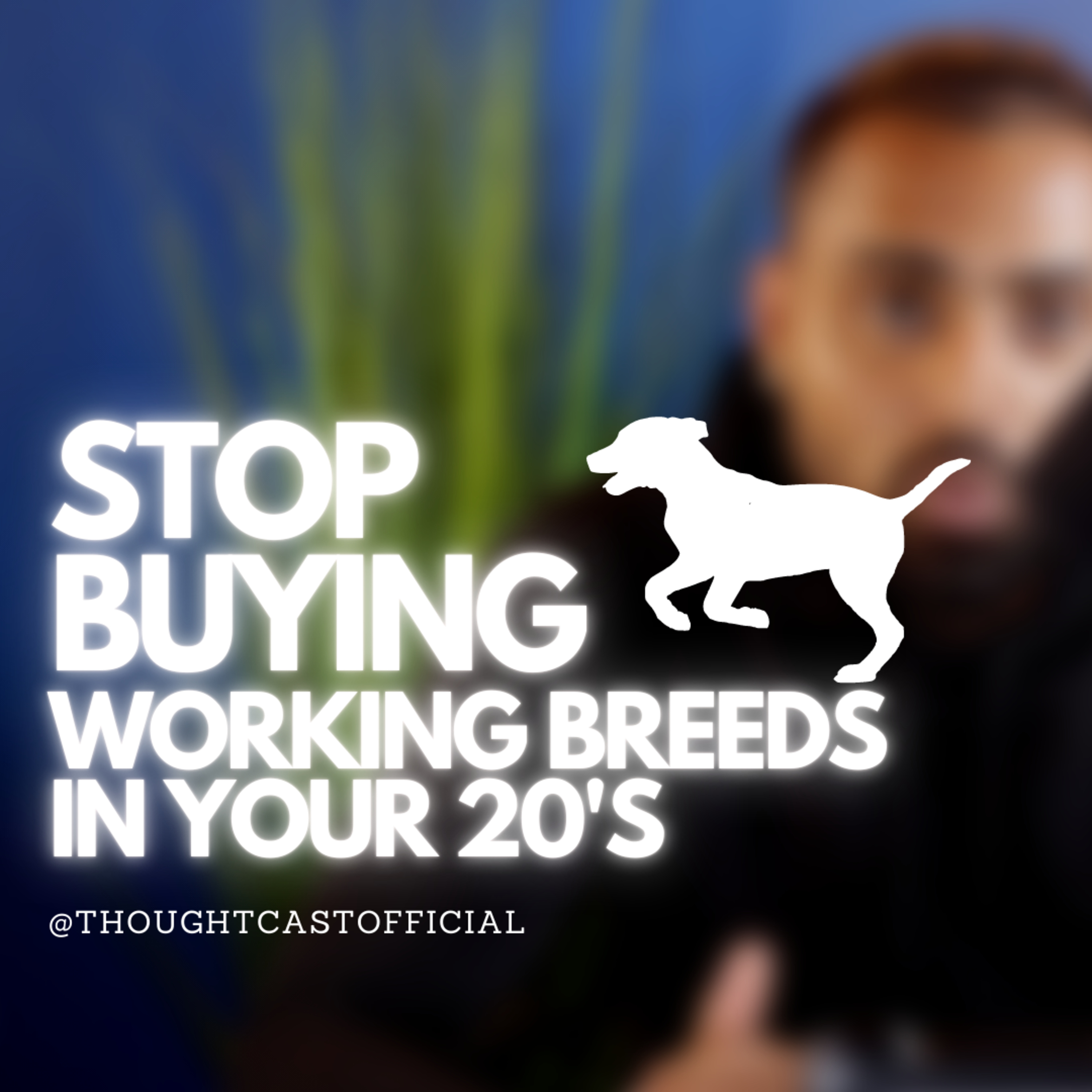 Stop Buying Working Breeds in Your 20's episode artwork