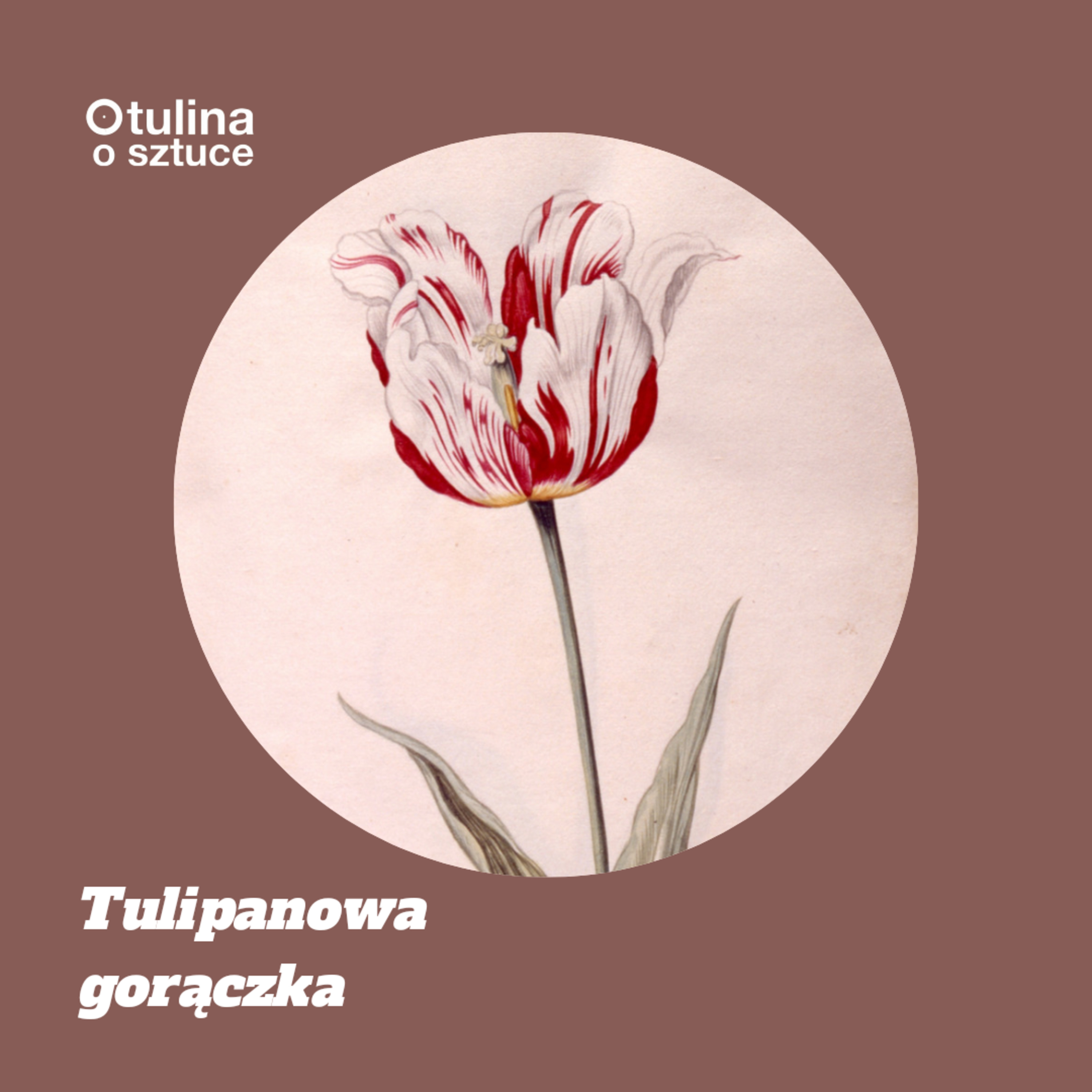 OTULINA O SZTUCE