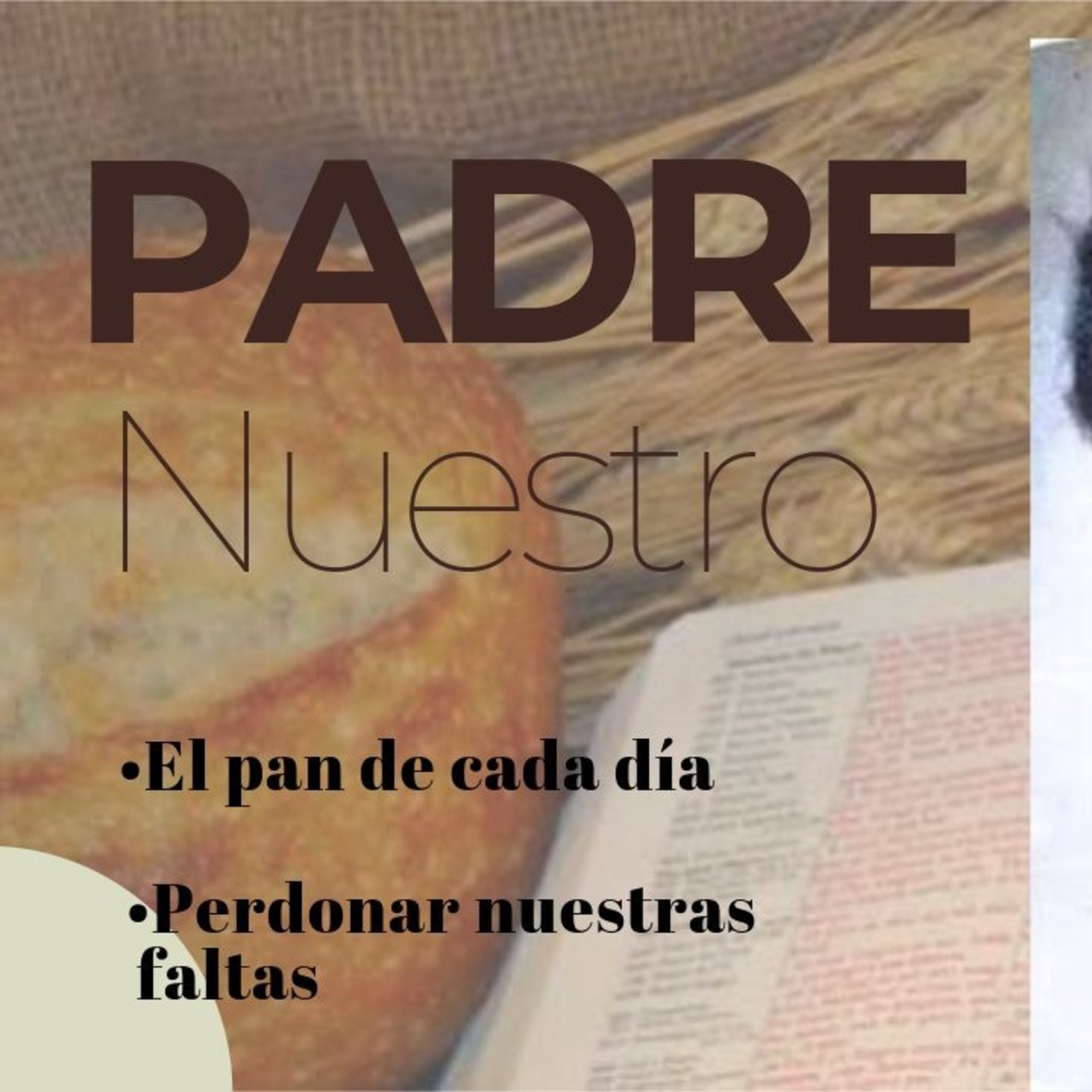 Bienvenidos a Amorosa Mente con Jane