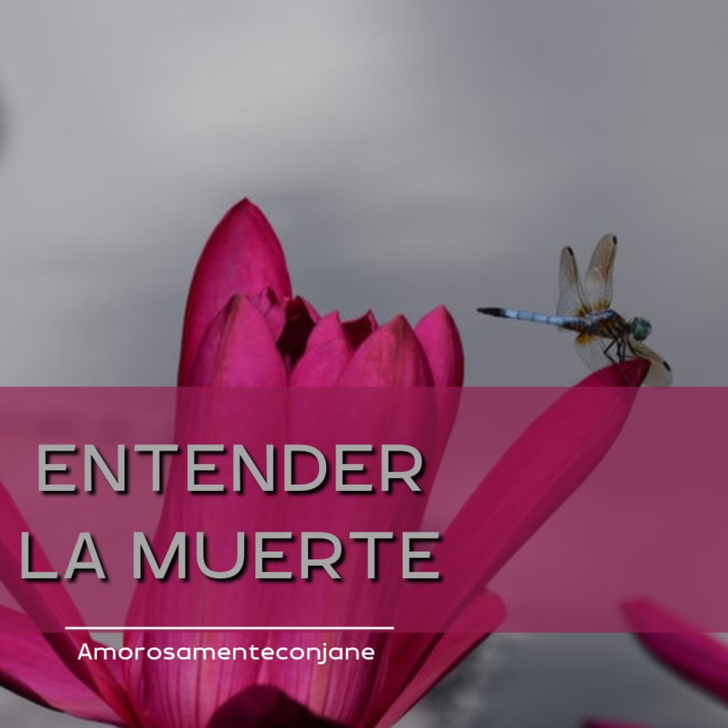 Bienvenidos a Amorosa Mente con Jane