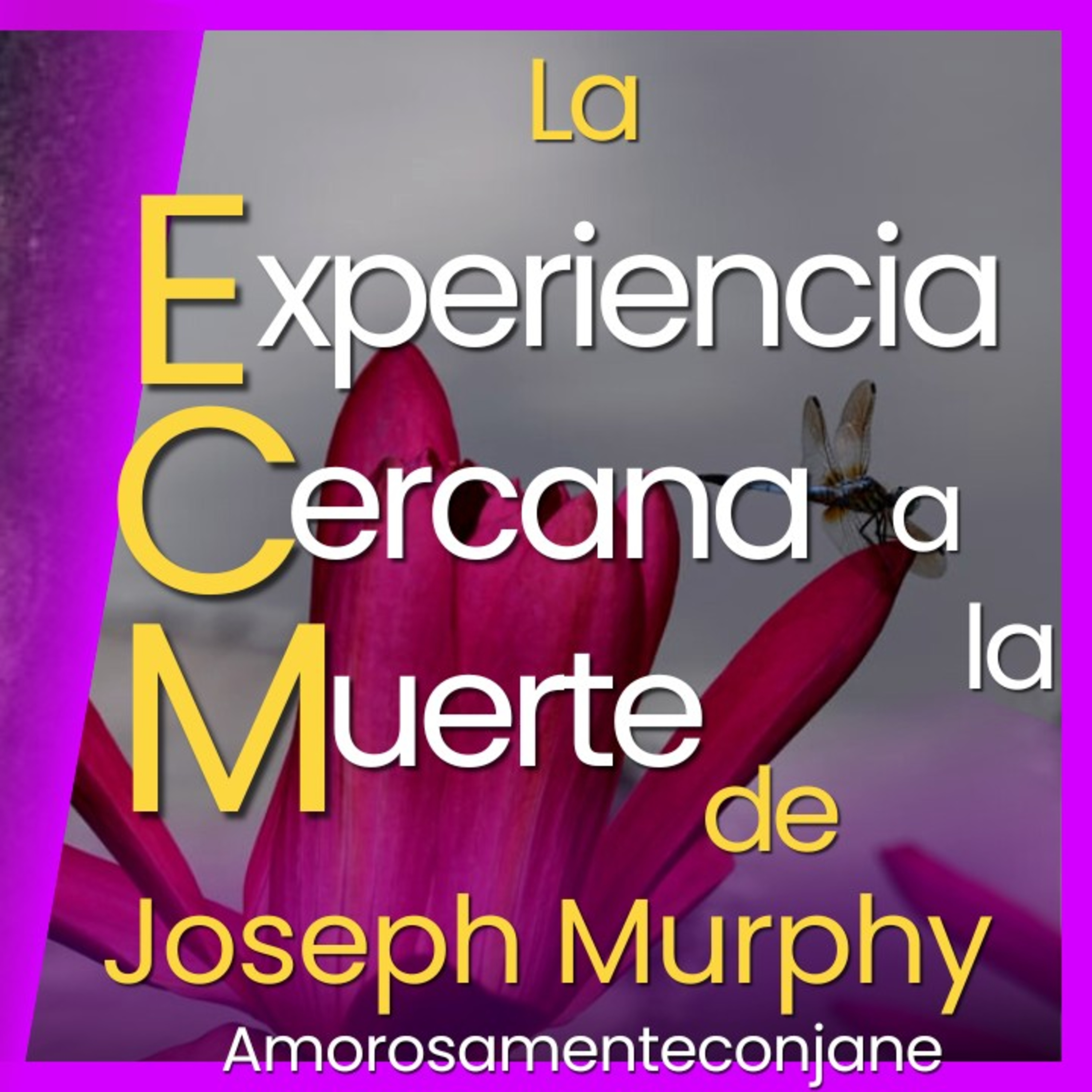 Bienvenidos a Amorosa Mente con Jane