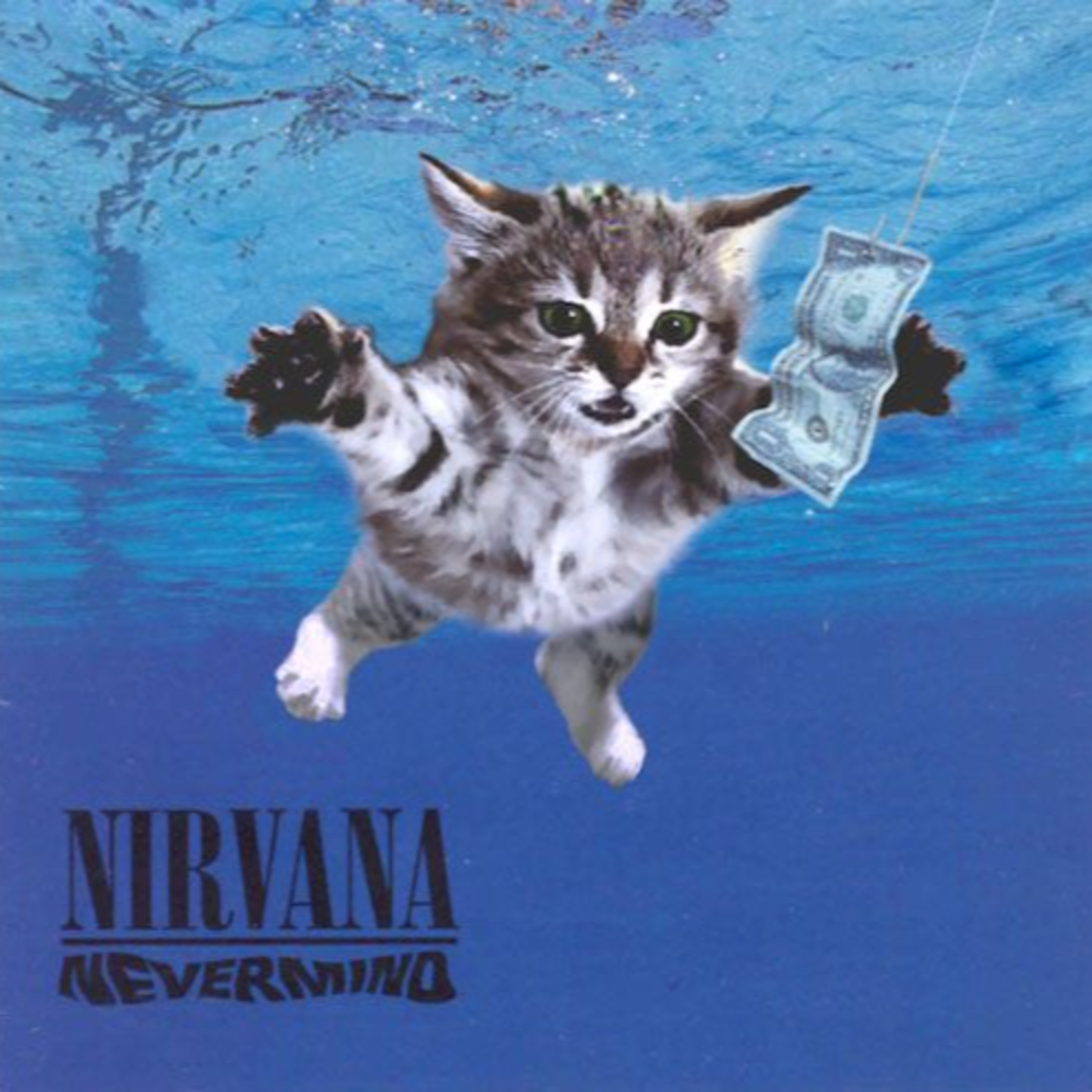 CIUDAD ANIMAL PRG 112 episode artwork