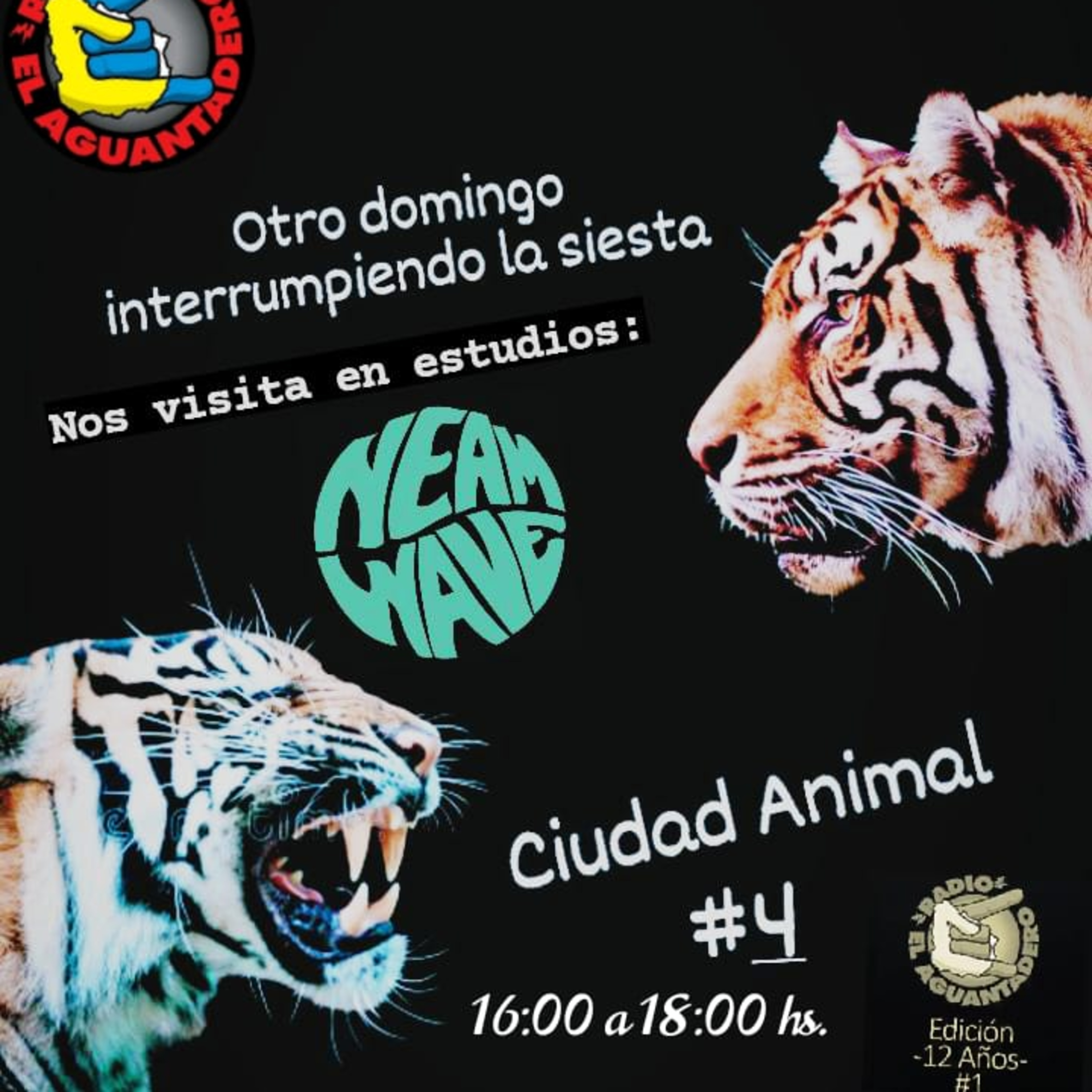 CIUDAD ANIMAL #8 (2022) - PRG. 135 episode artwork