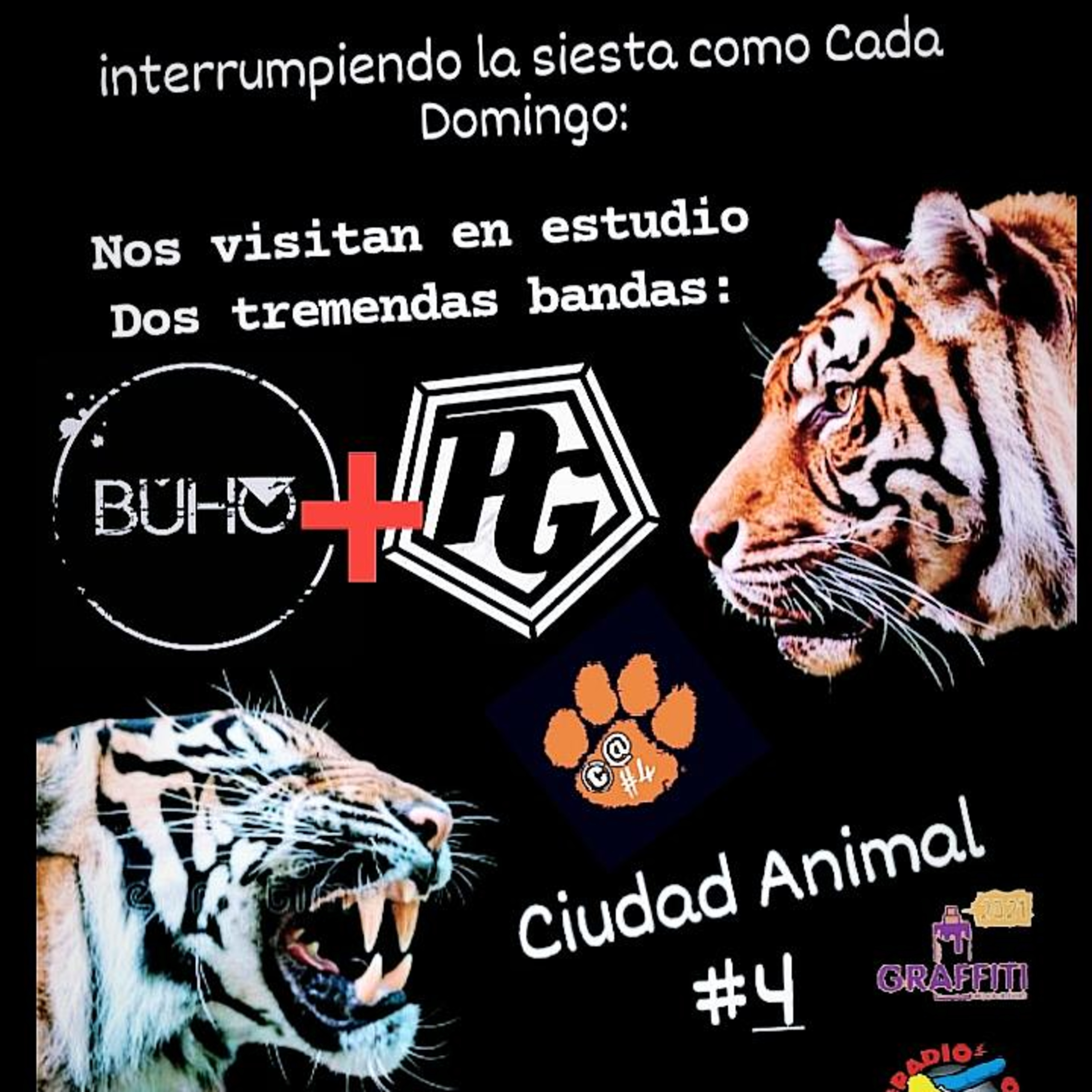 CIUDAD ANIMAL PRG. 139 - PRG 12 (2022) episode artwork