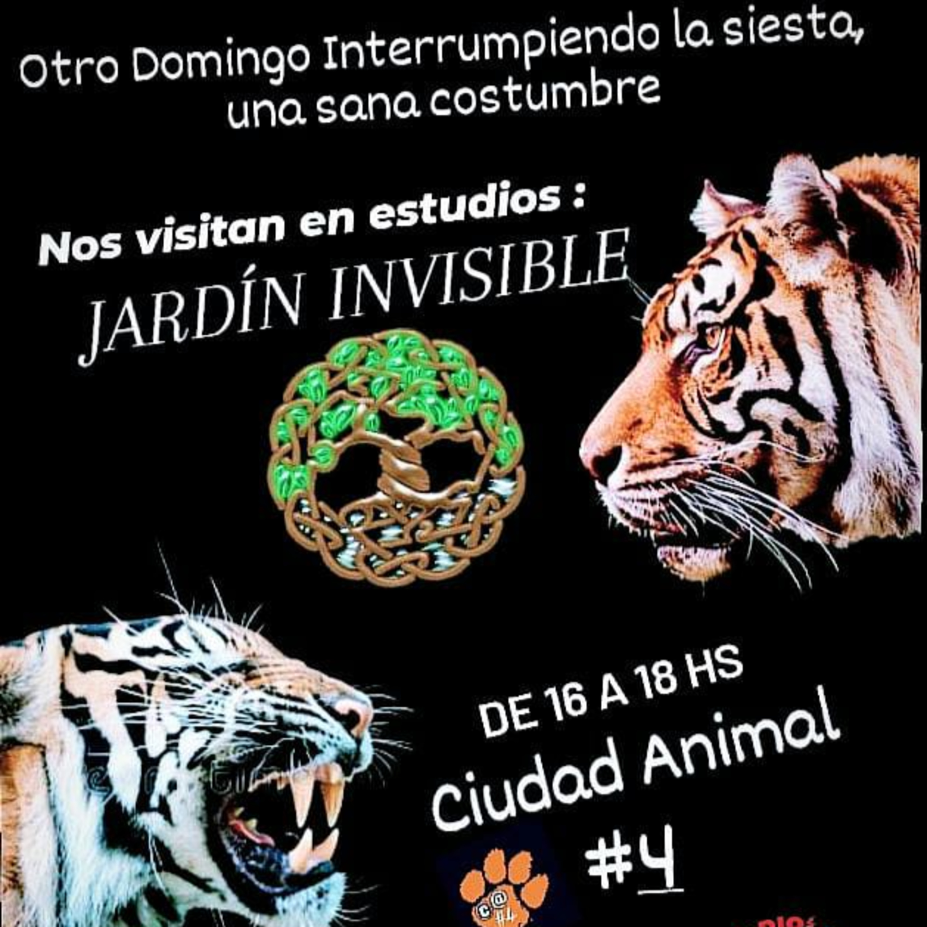 Ciudad Animal ft Jardin Invisible episode artwork