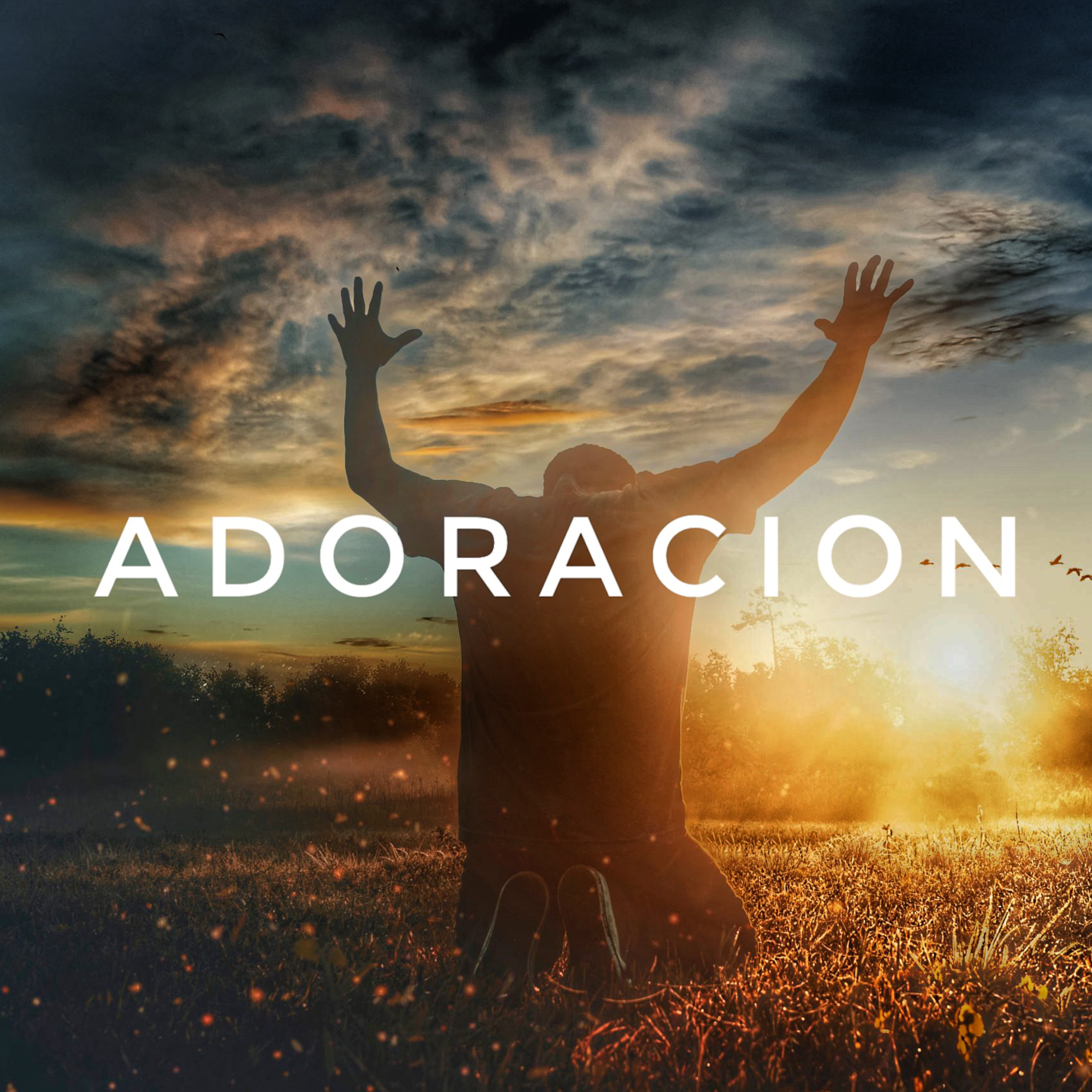 Adoración Corrupta y Adoración Perfecta episode artwork