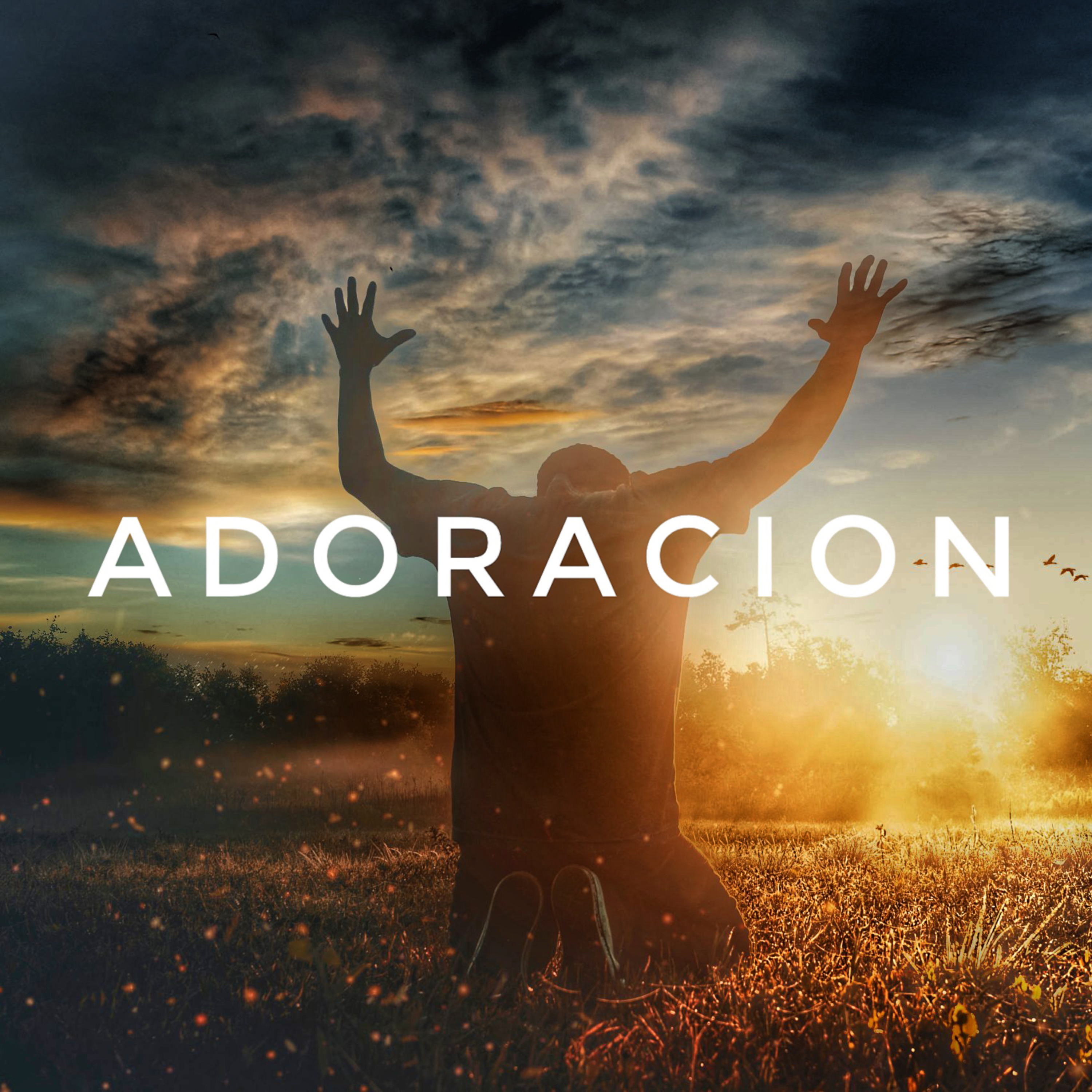 Donde comienza la adoración episode artwork
