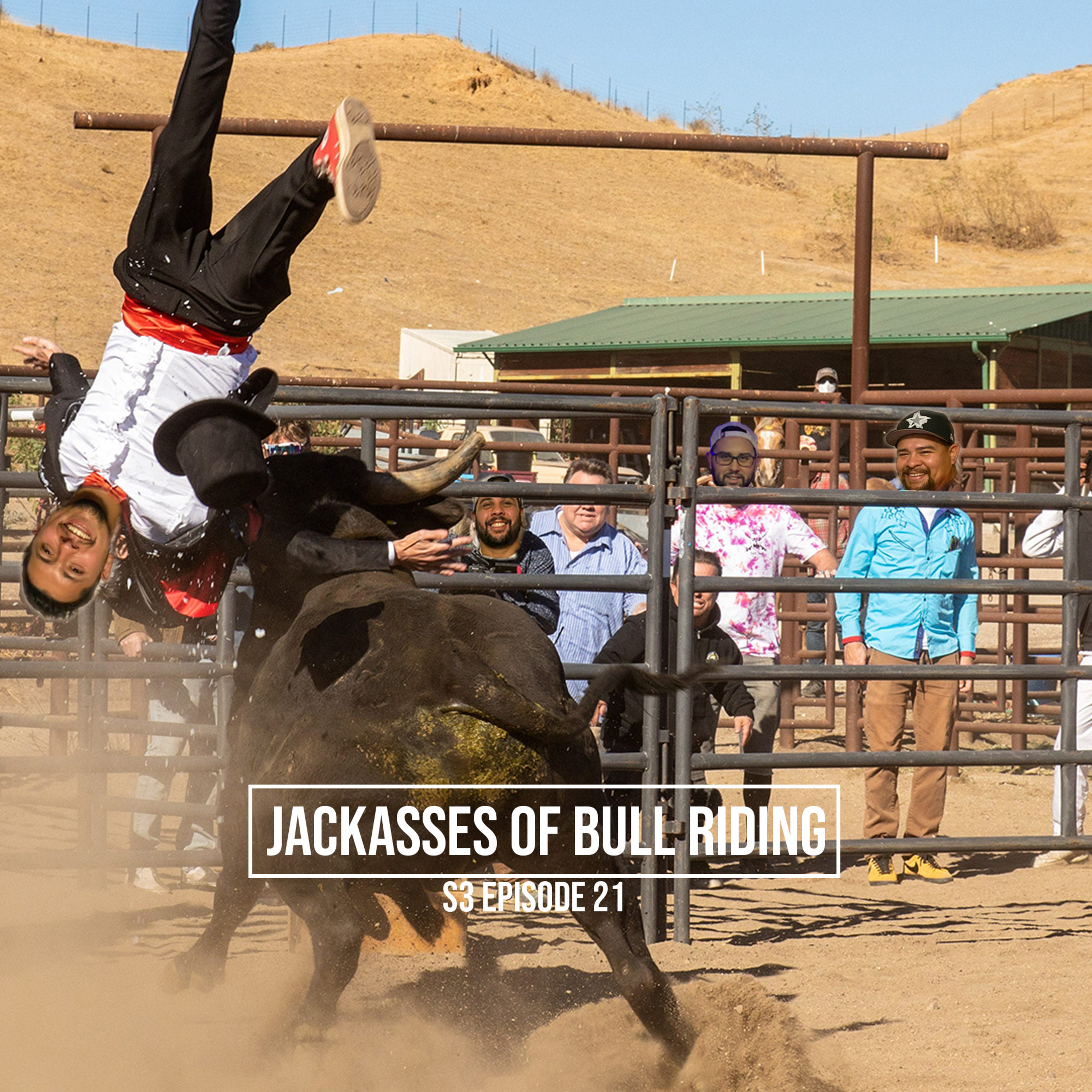 Jackasses of Bull Riding thumbnail