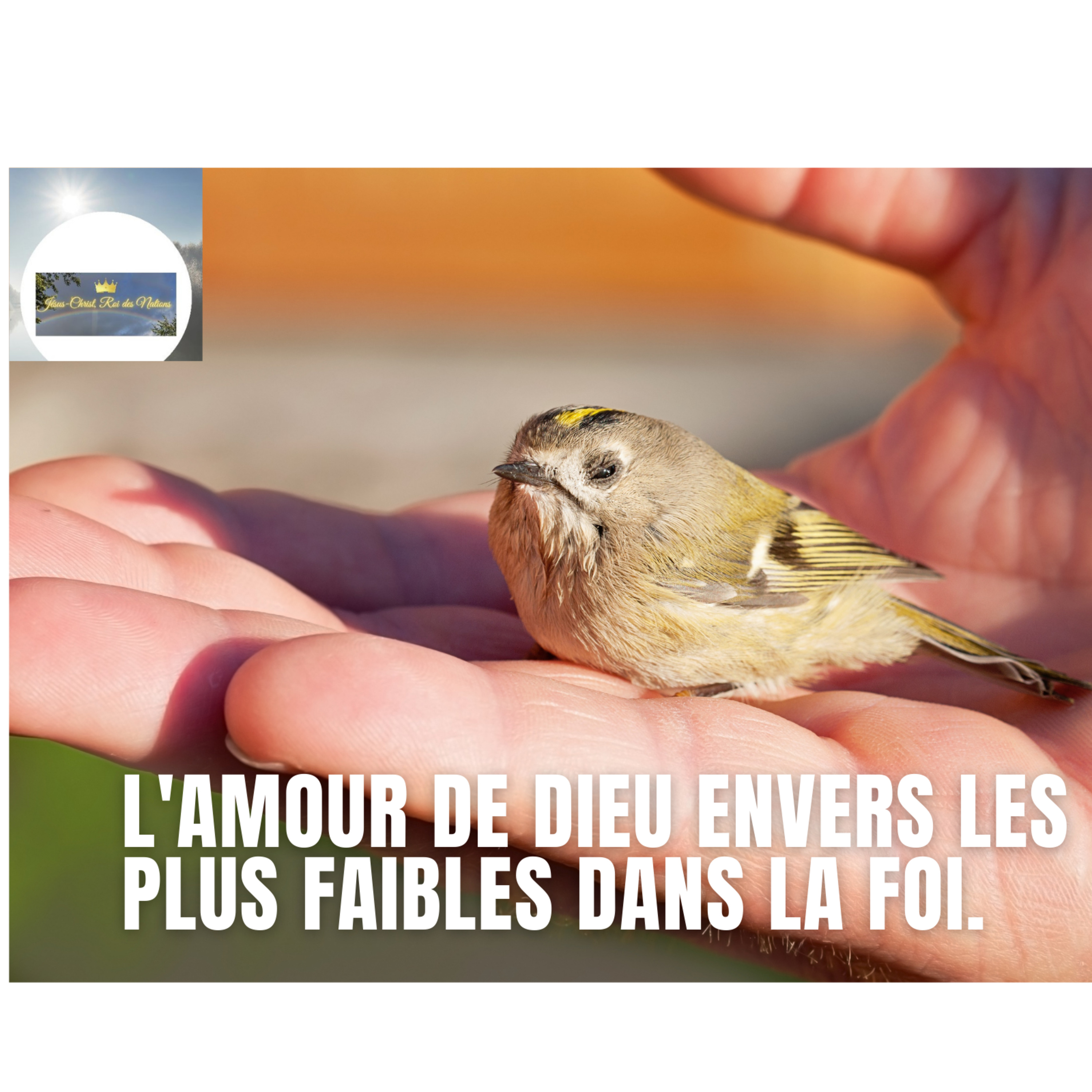 L\'amour, c\'est un choix❤️👆