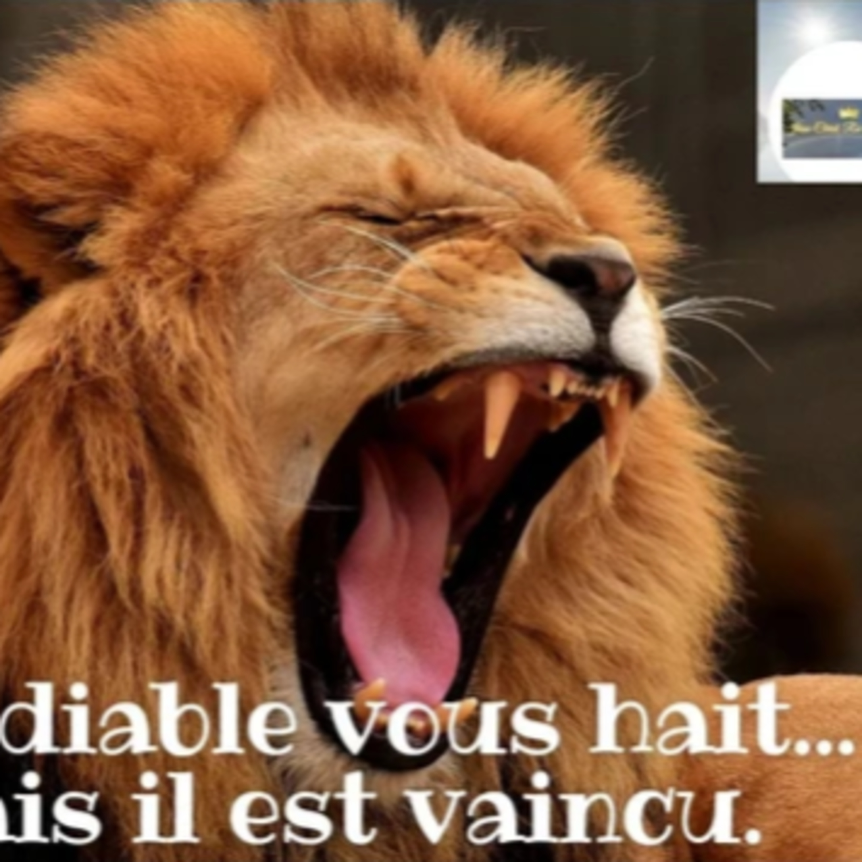 LE DIABLE VOUS HAIT…😠MAIS IL EST VAINCU episode artwork