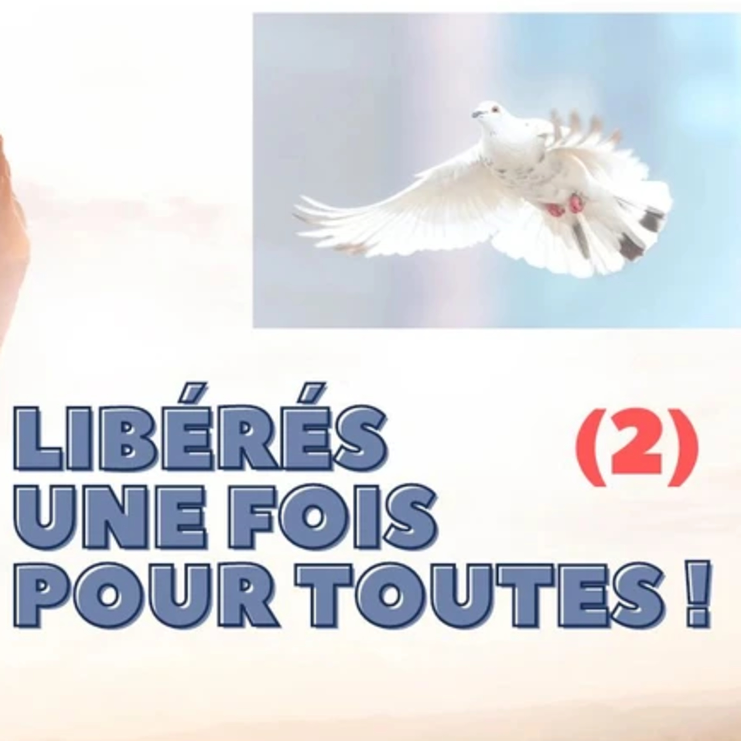 LIBÉRÉS UNE FOIS POUR TOUTE (2nde partie) episode artwork