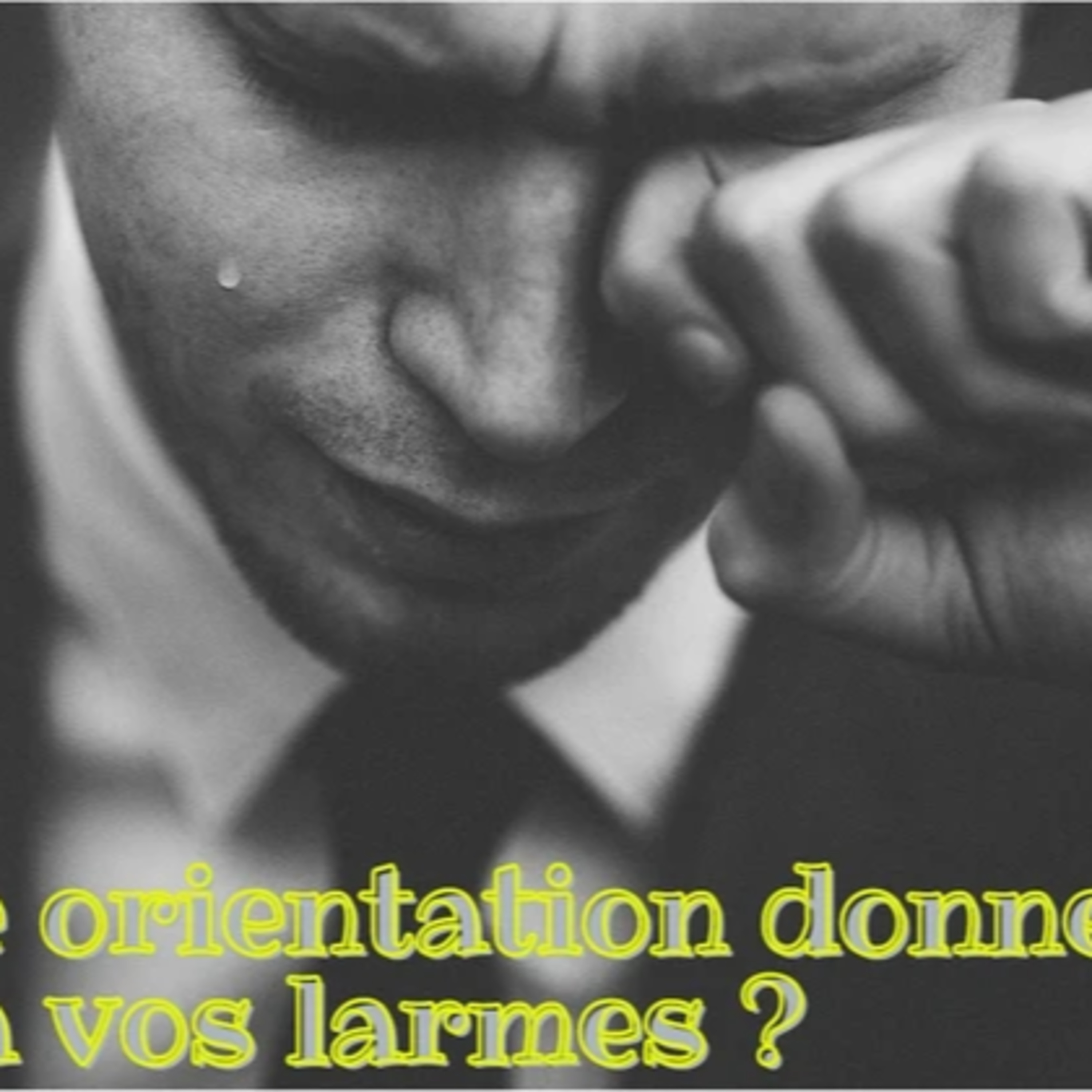 QUELLE ORIENTATION DONNEZ-VOUS A VOS LARMES ? episode artwork