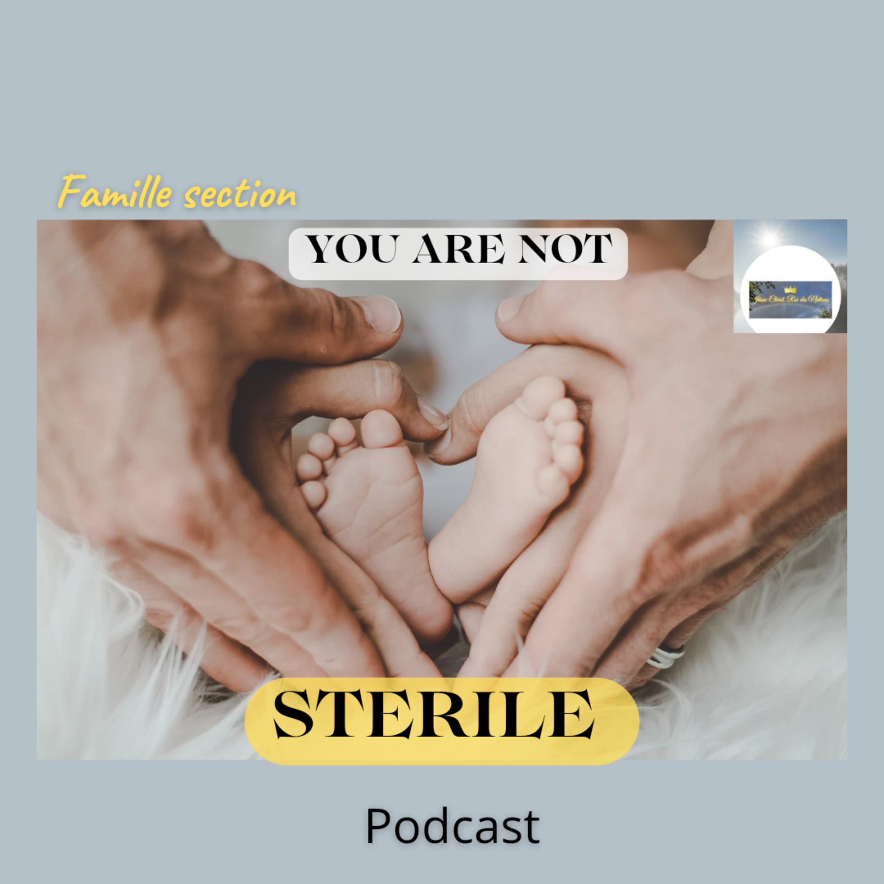 You are not sterile !  episode artwork