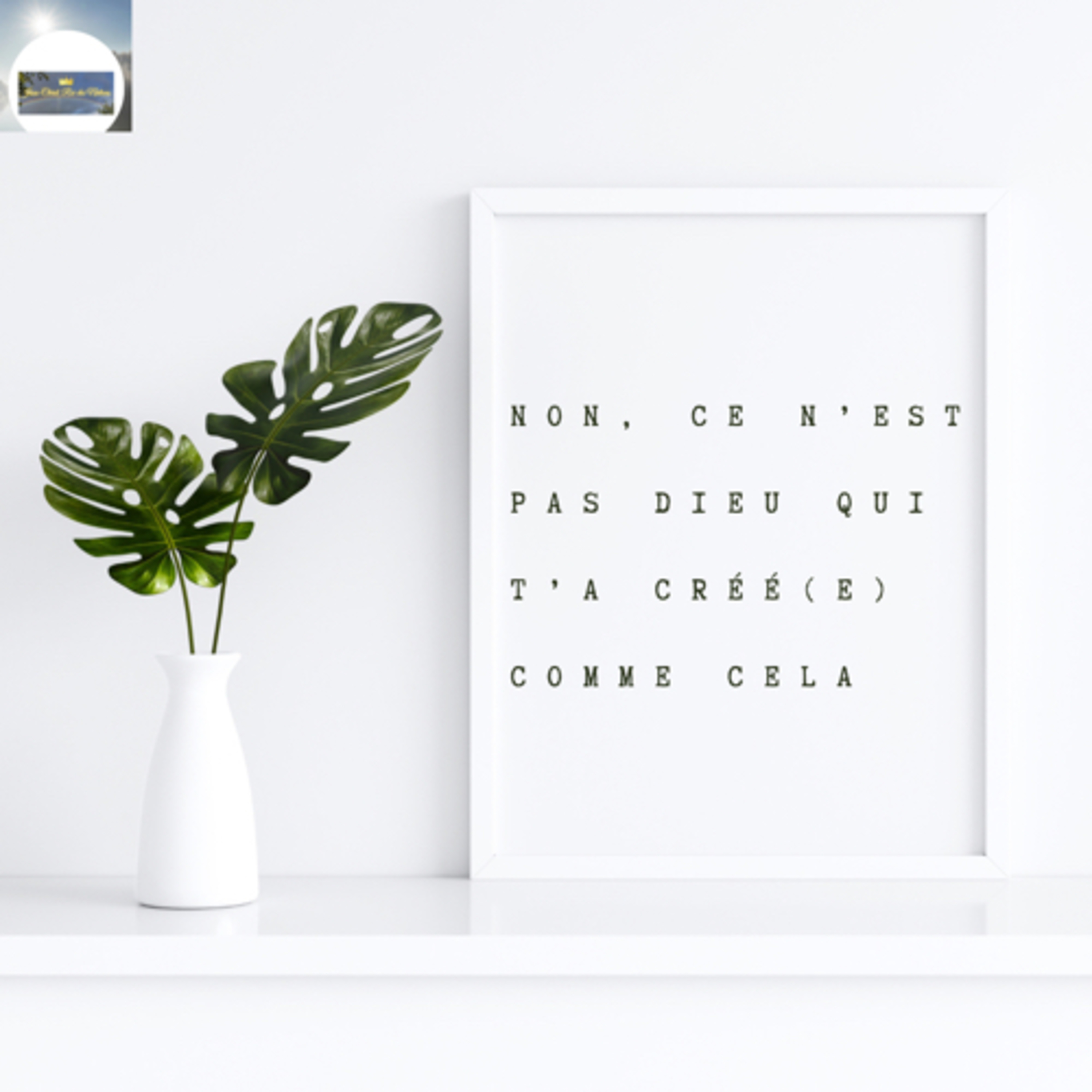 NON, CE N'EST PAS DIEU QUI T'A CRÉE(E) COMME CELA episode artwork