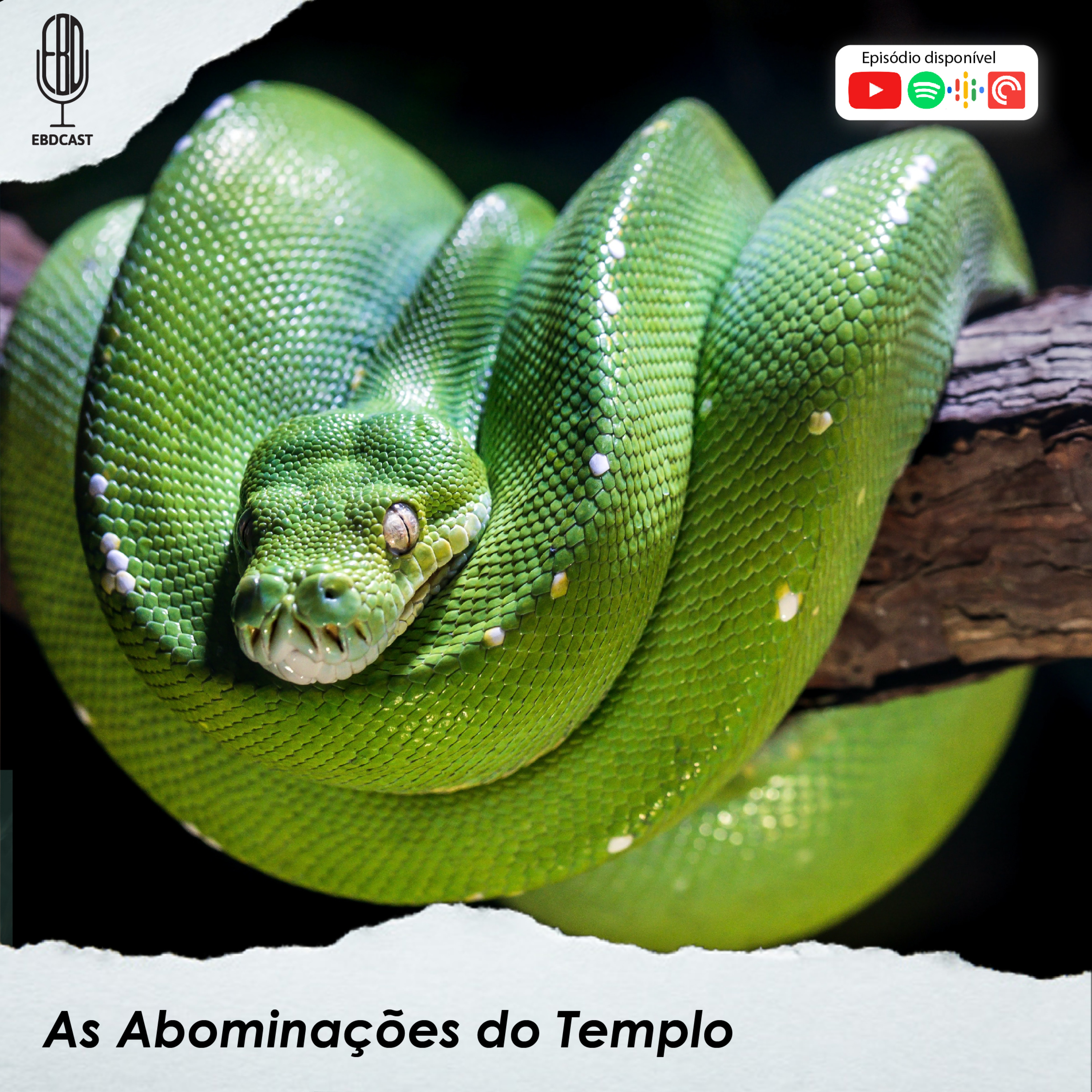 Palavra Compartilhada