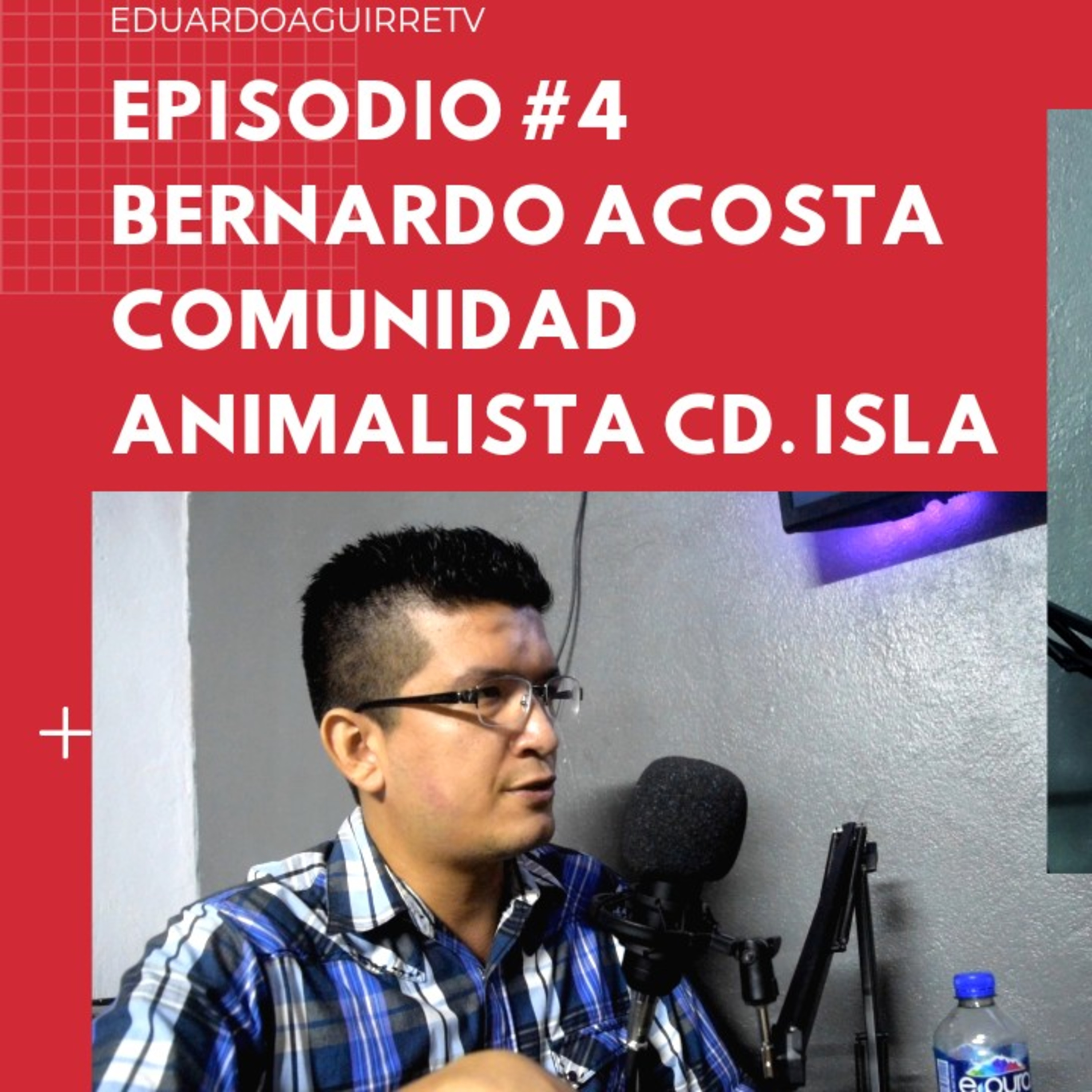 MEDIA HORA Y MAS