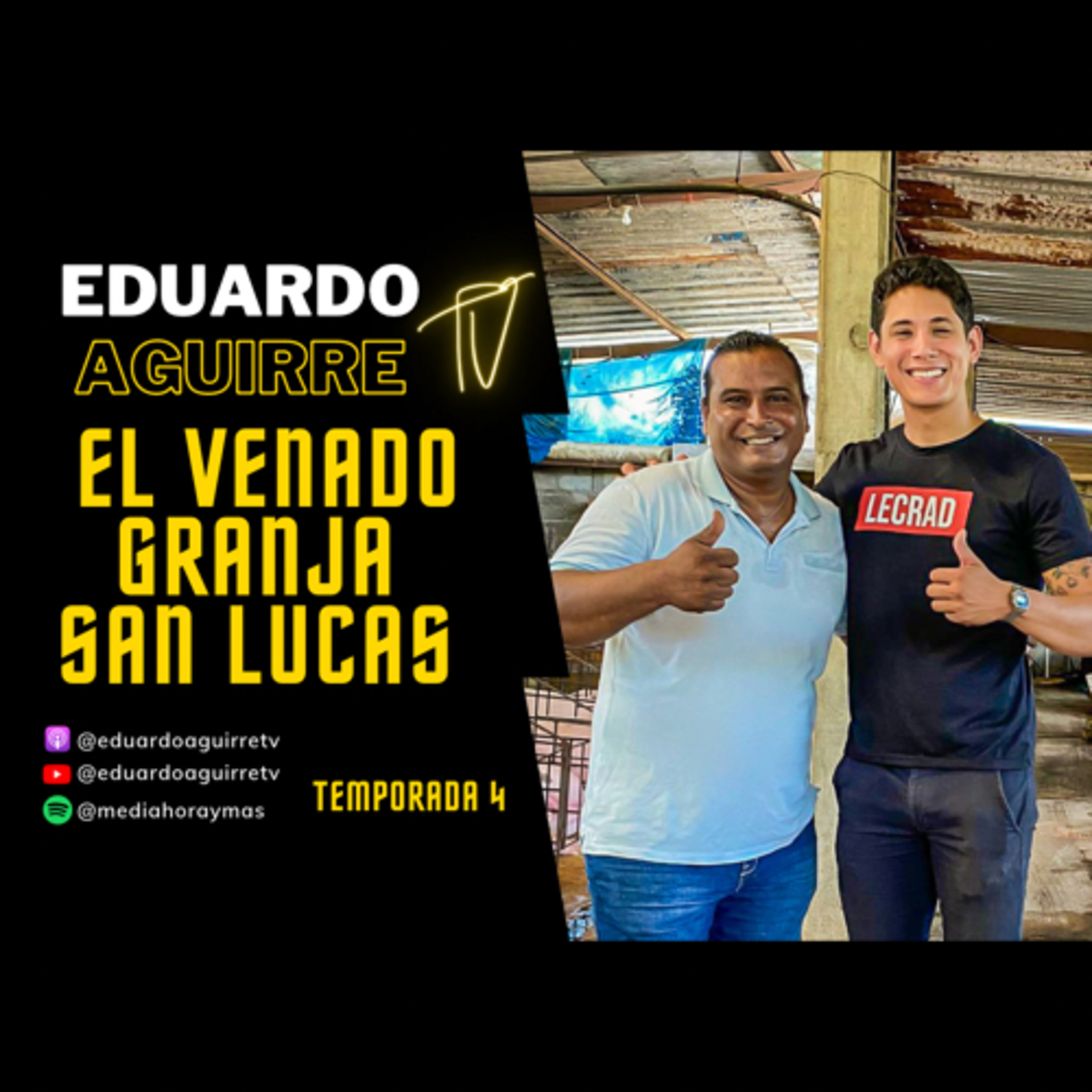 MEDIA HORA Y MAS