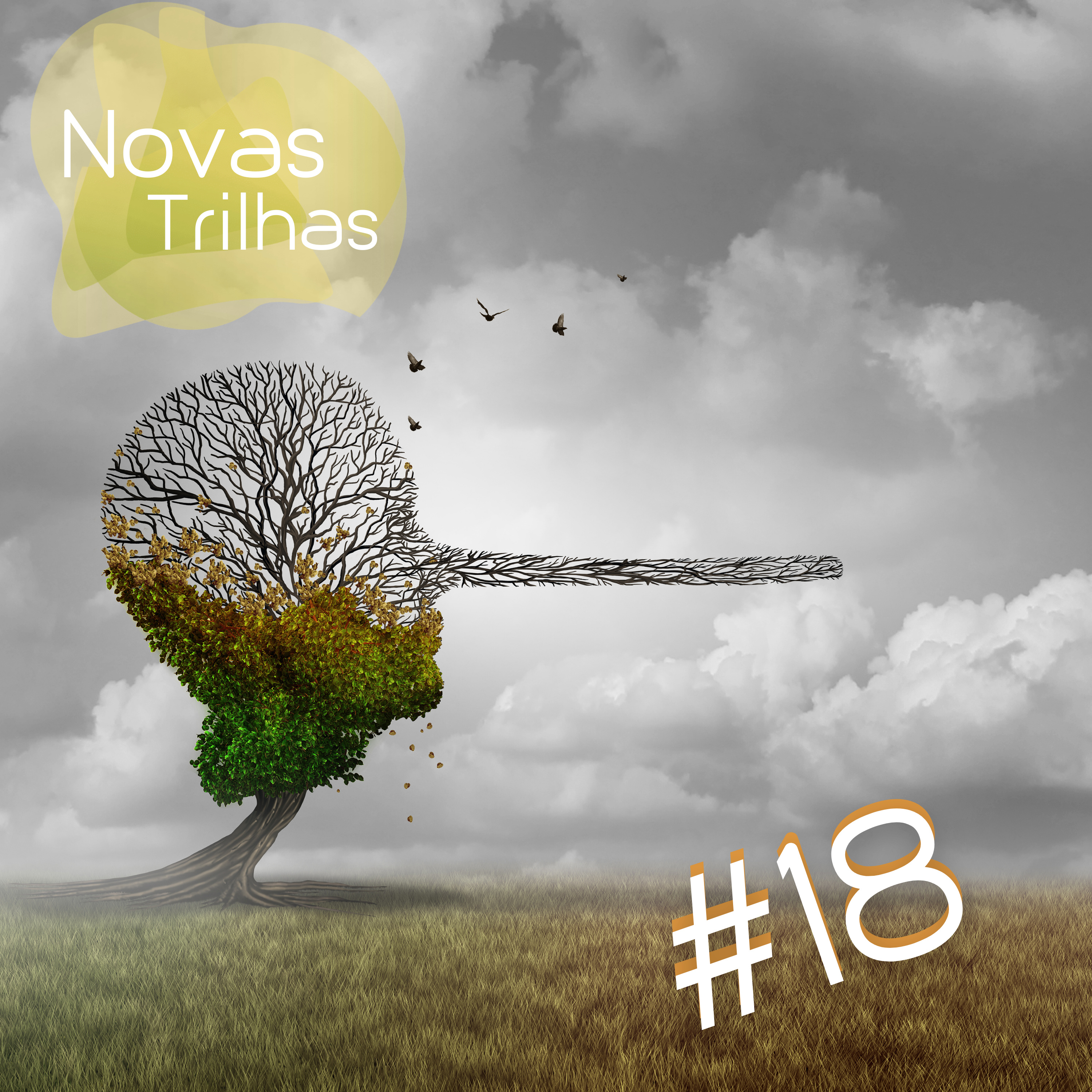 Novas Trilhas