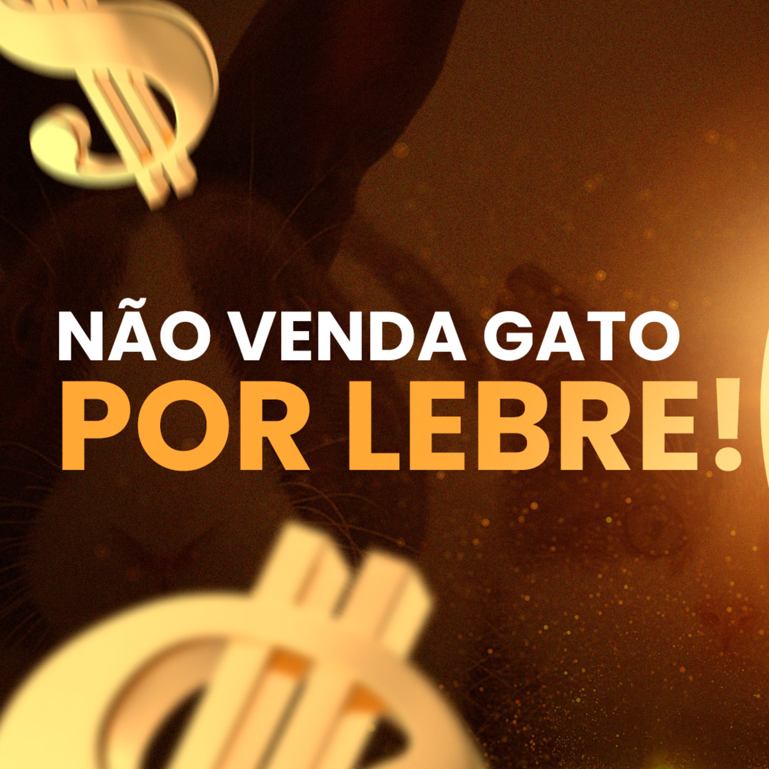 Marcio Carvalho de Sá