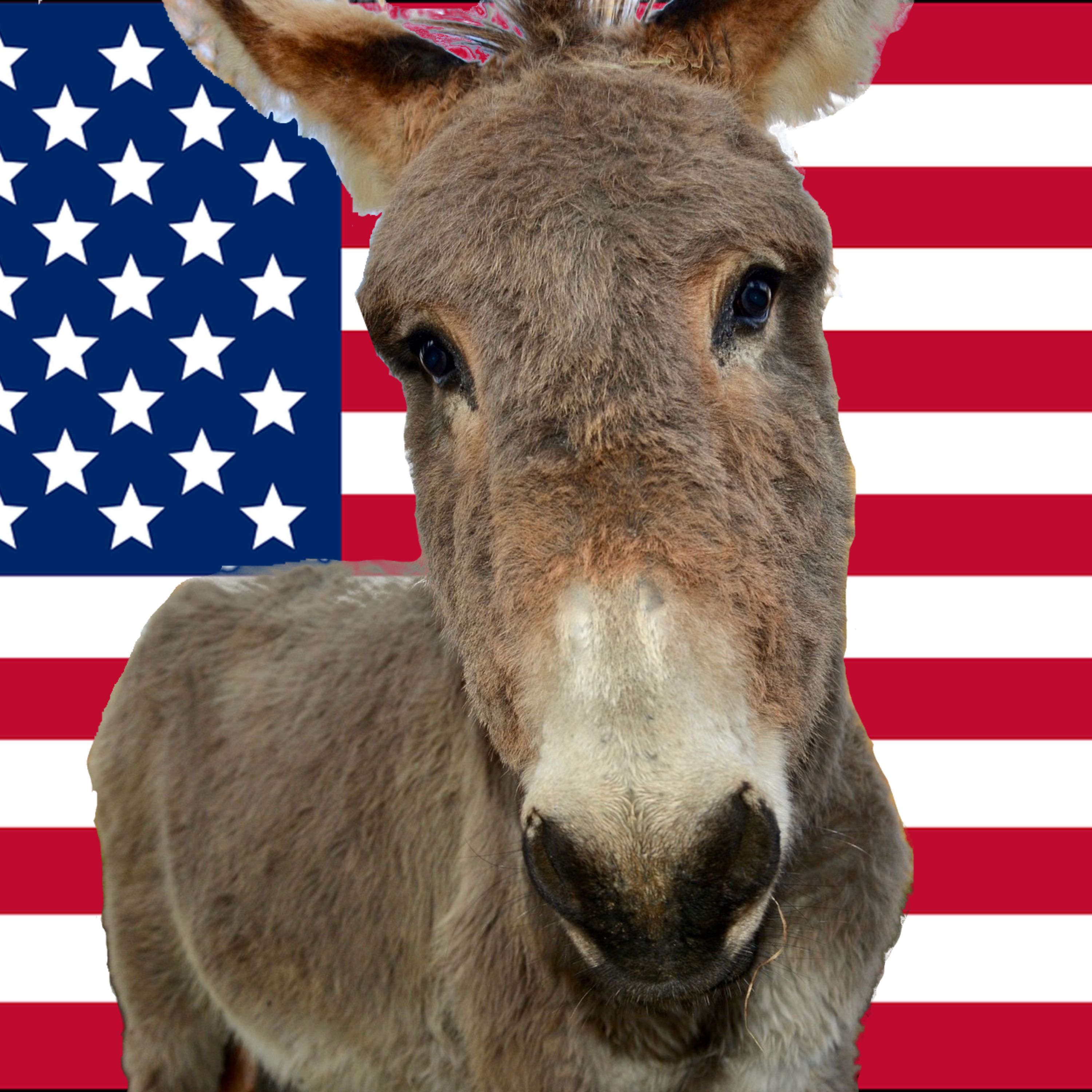 Democrats: Leadership Versus Base episode artwork