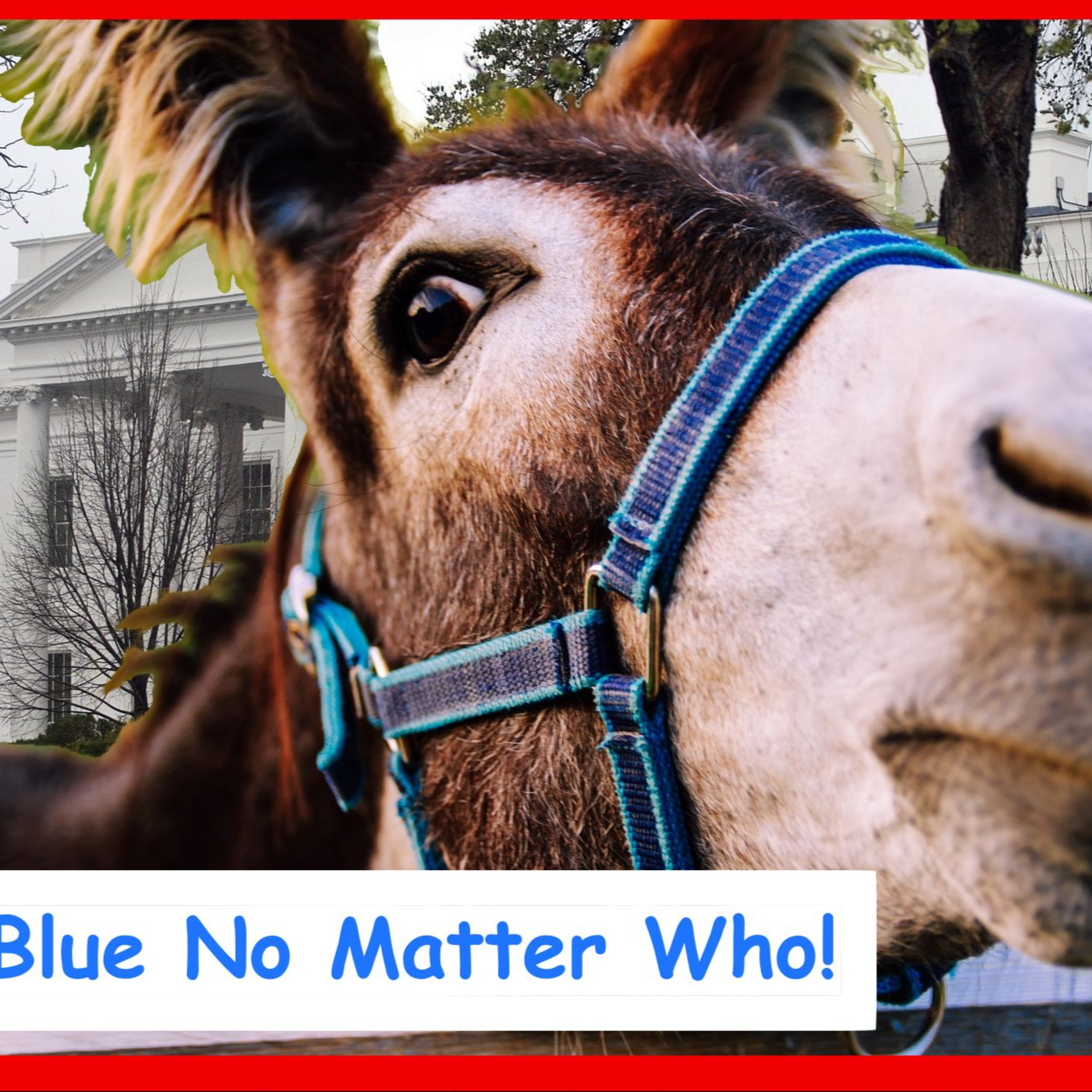 Kamala's Comeback? episode artwork