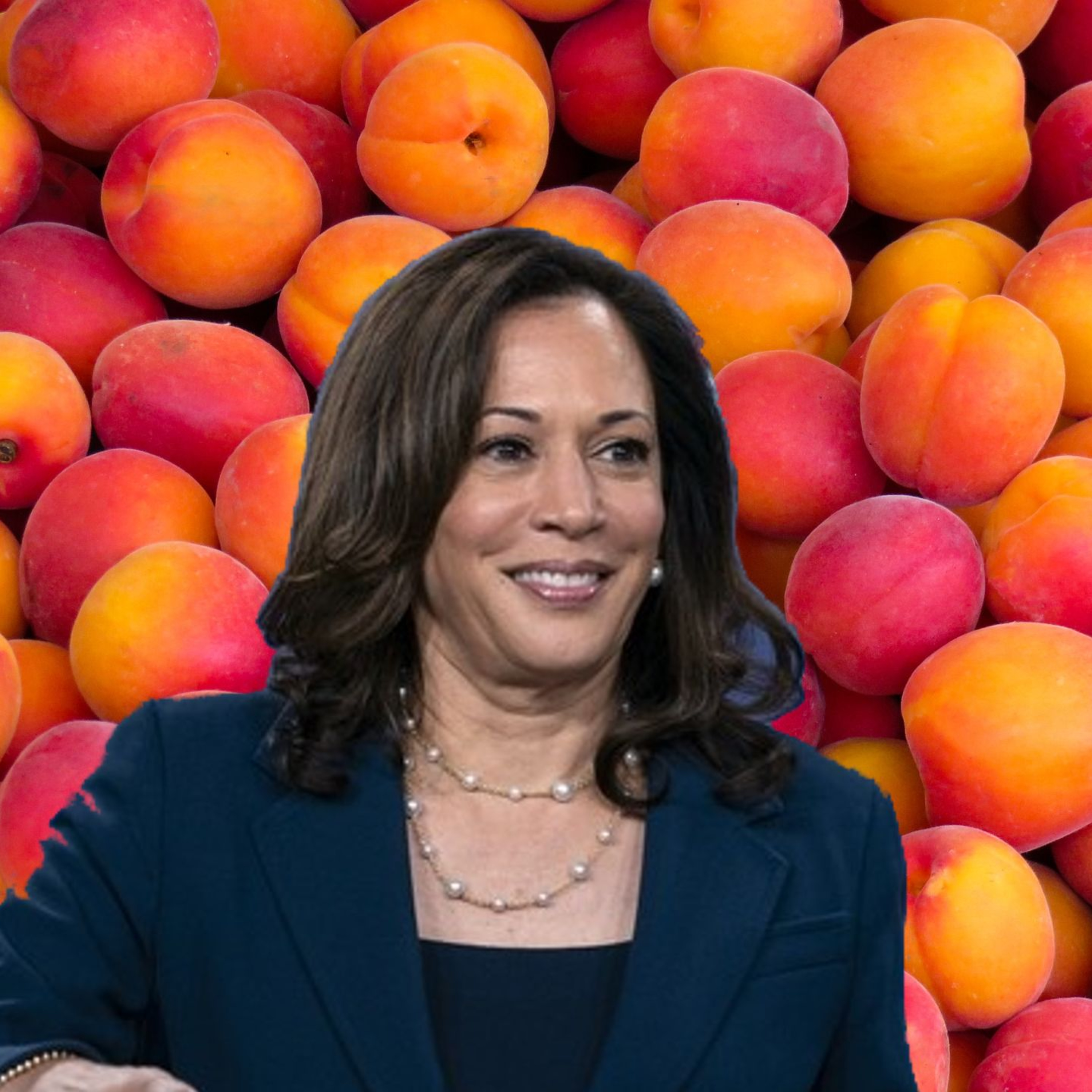 Impeach Harris, 2.0 episode artwork