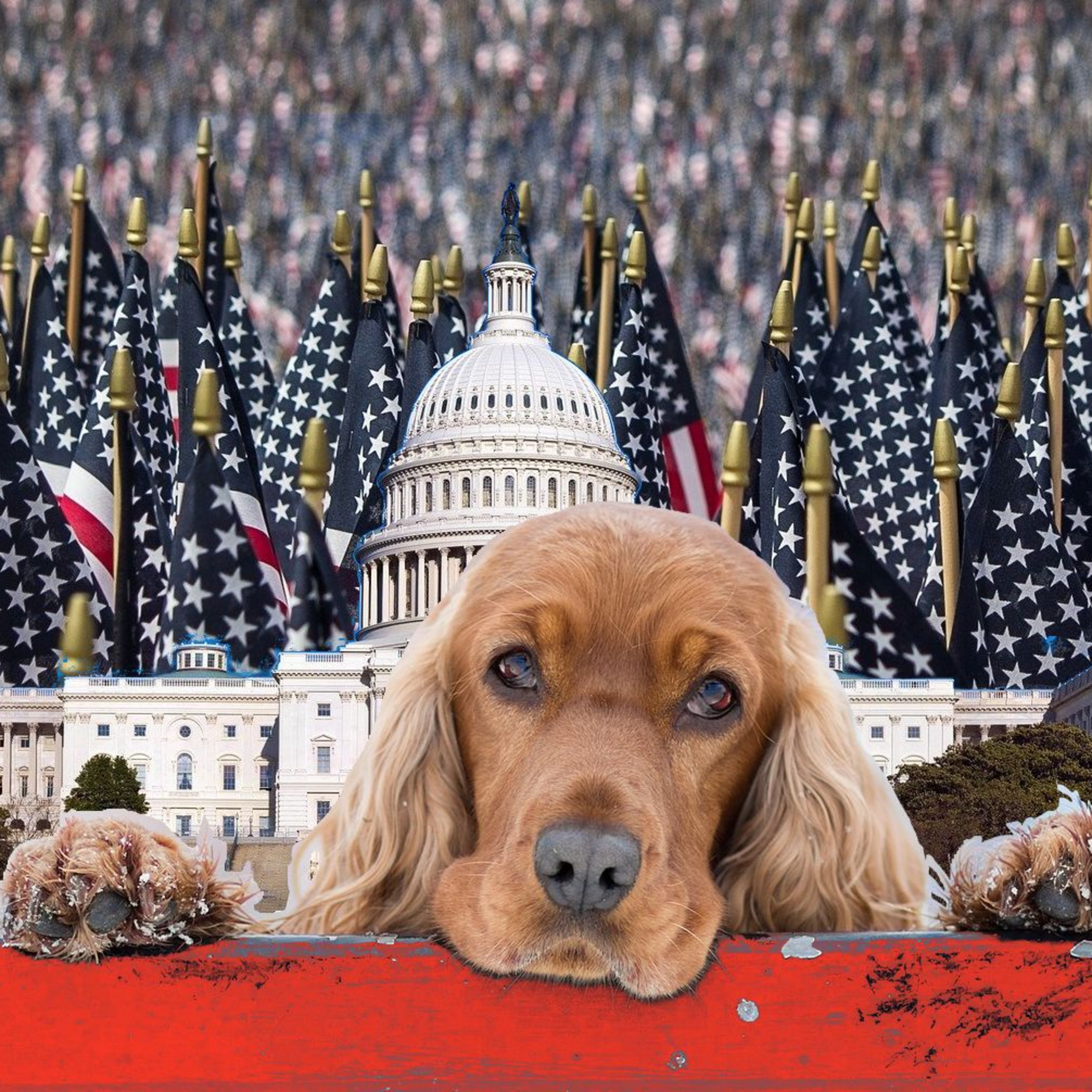 This Government is OURS, Responsibility and All episode artwork