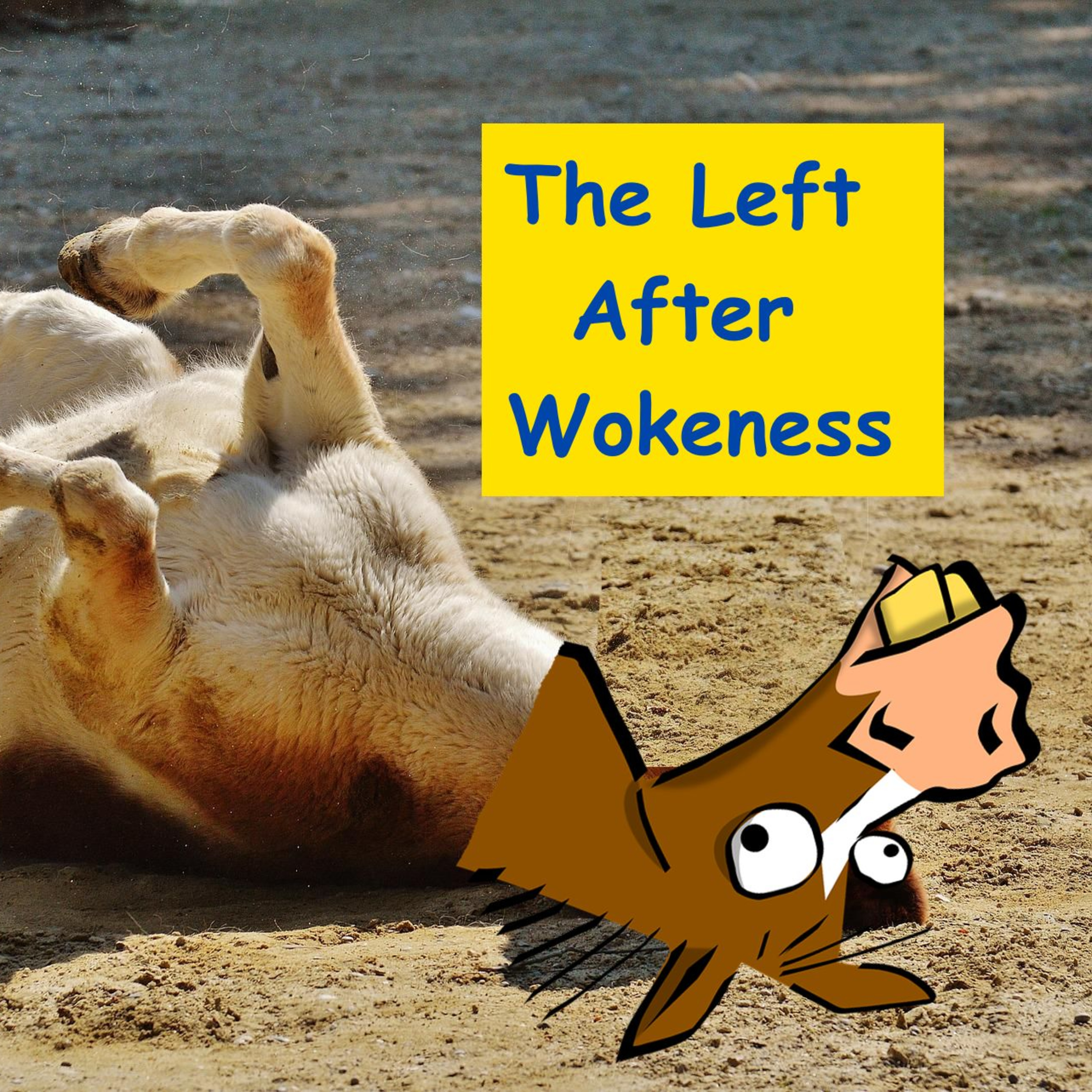 The Left After Wokeness episode artwork