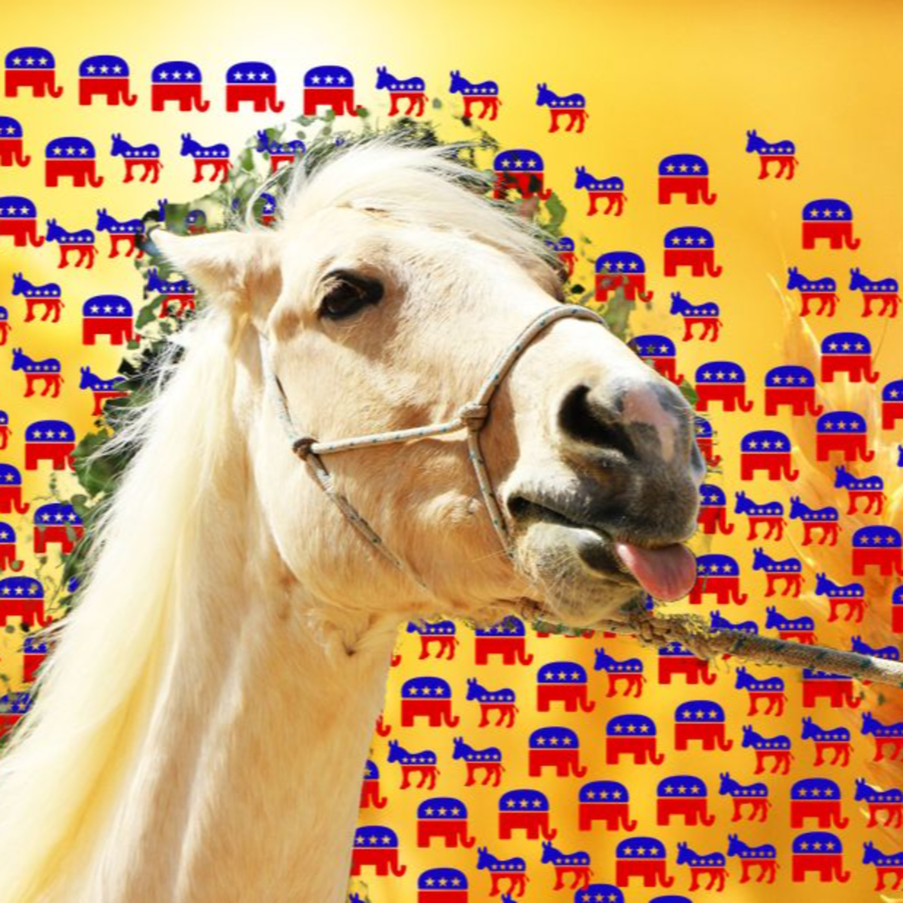 Liberal Insanity, Conservative Cynicism episode artwork