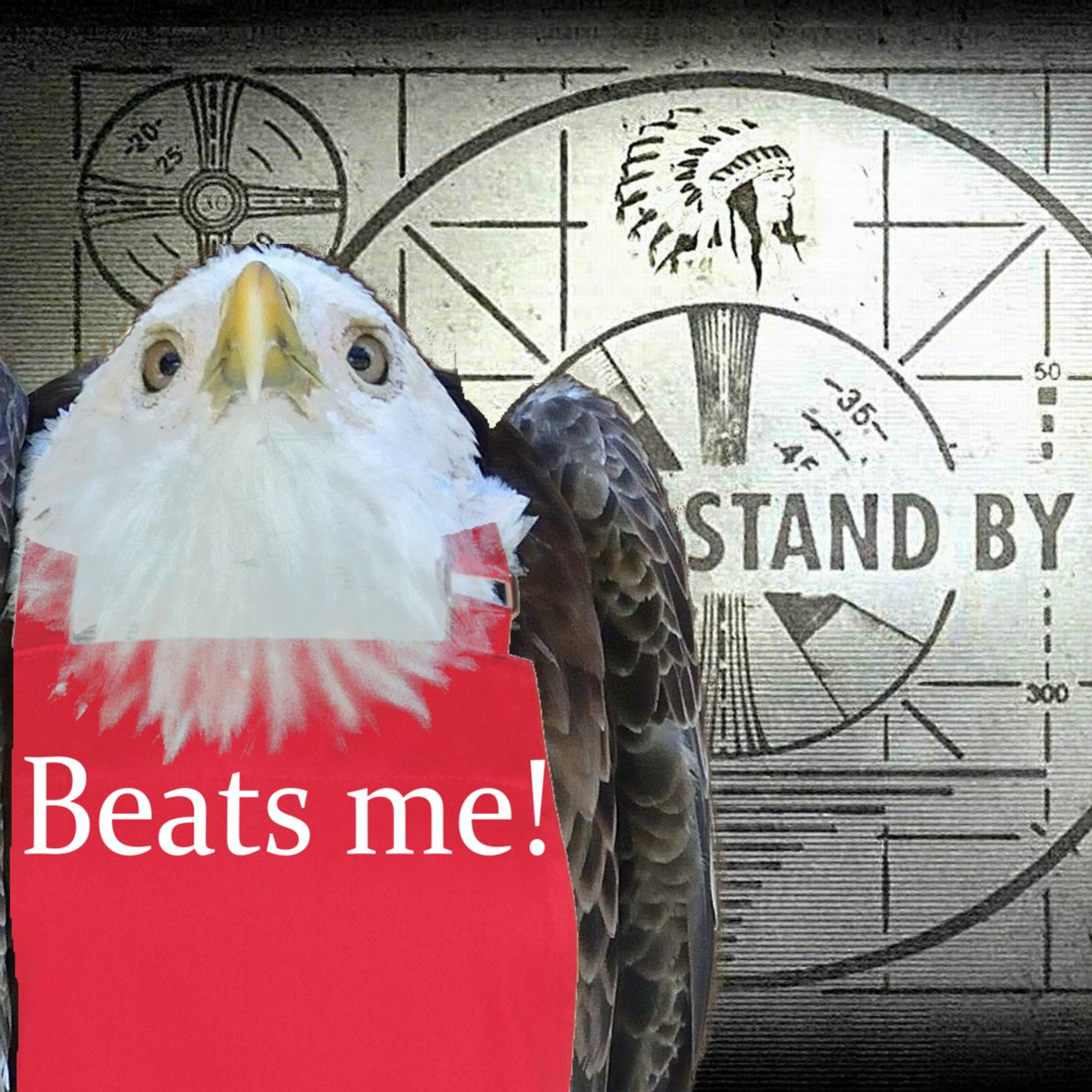 And the Winner is... Please Stand By episode artwork